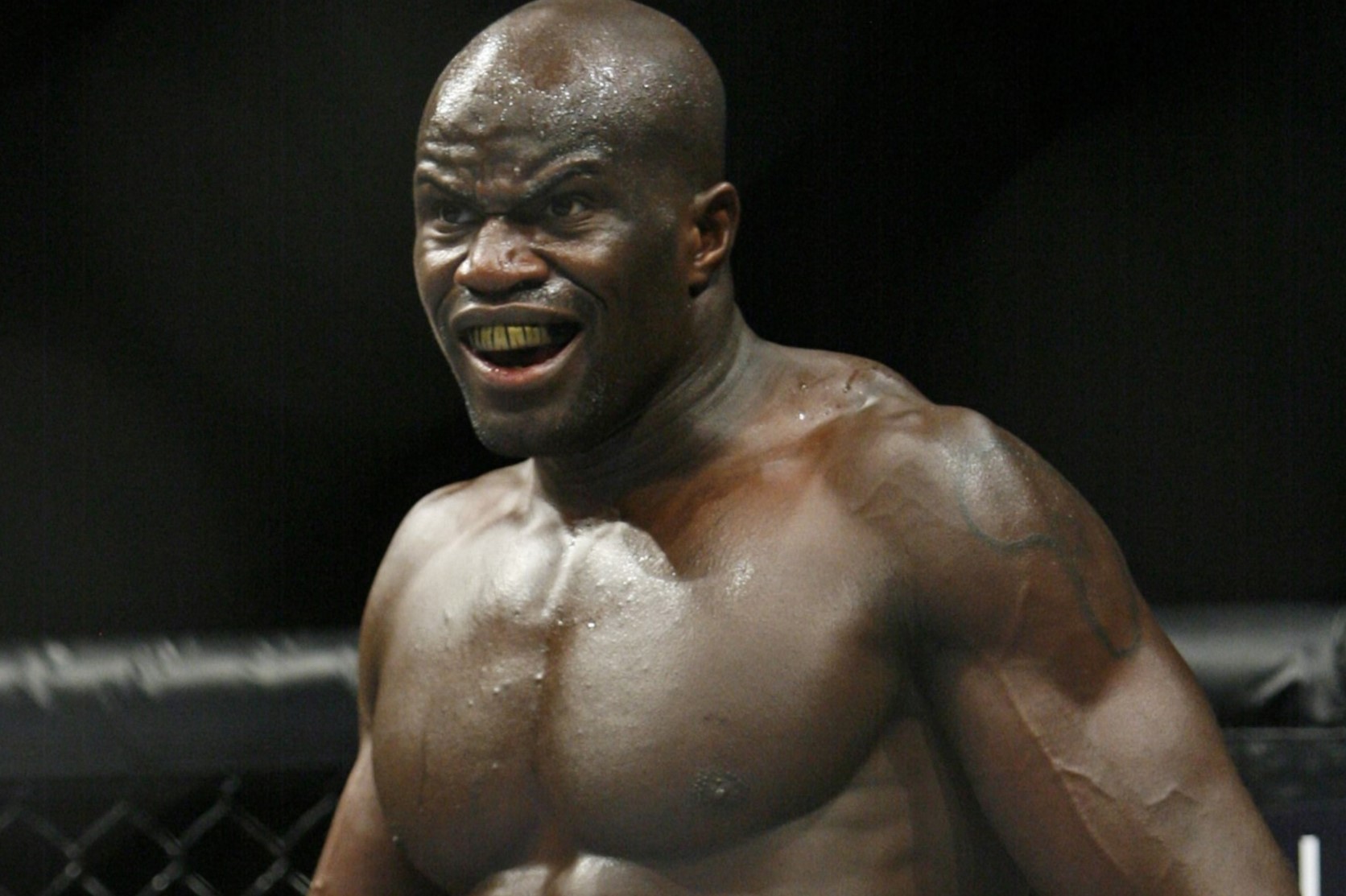 22-fascinating-facts-about-cheick-kongo