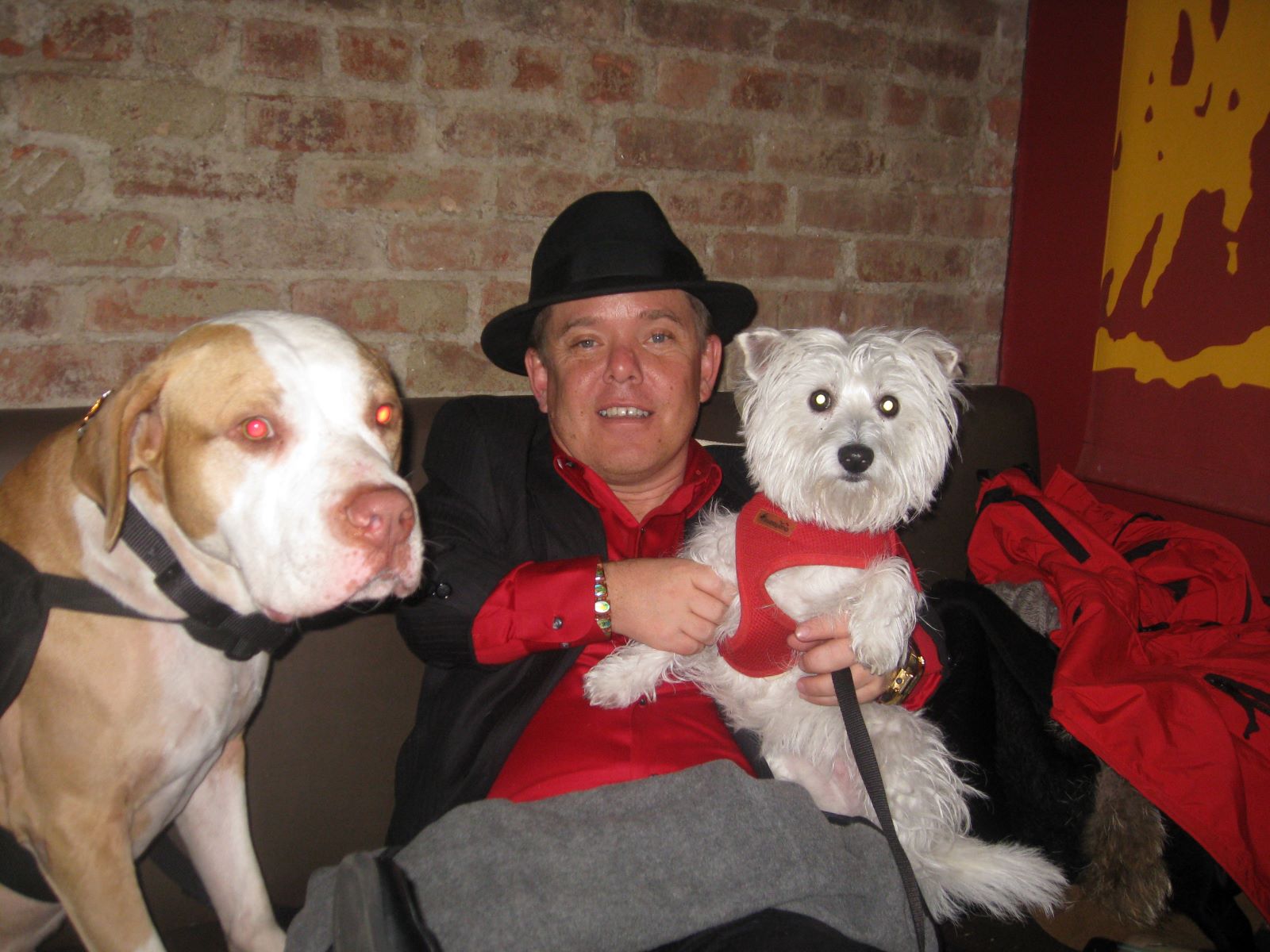 23 Mind-blowing Facts About Shorty Rossi - Facts.net