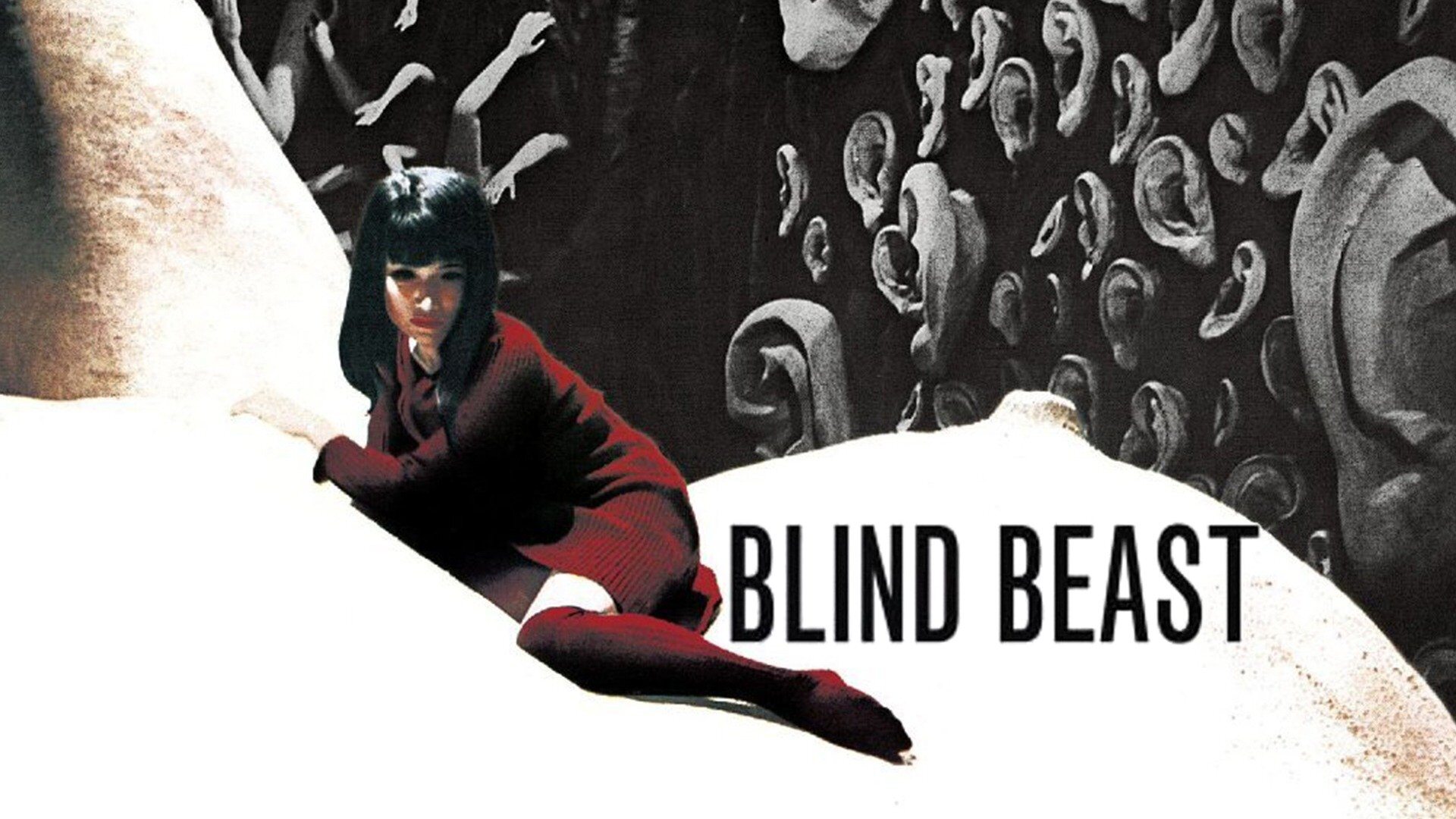 30-facts-about-the-movie-blind-beast