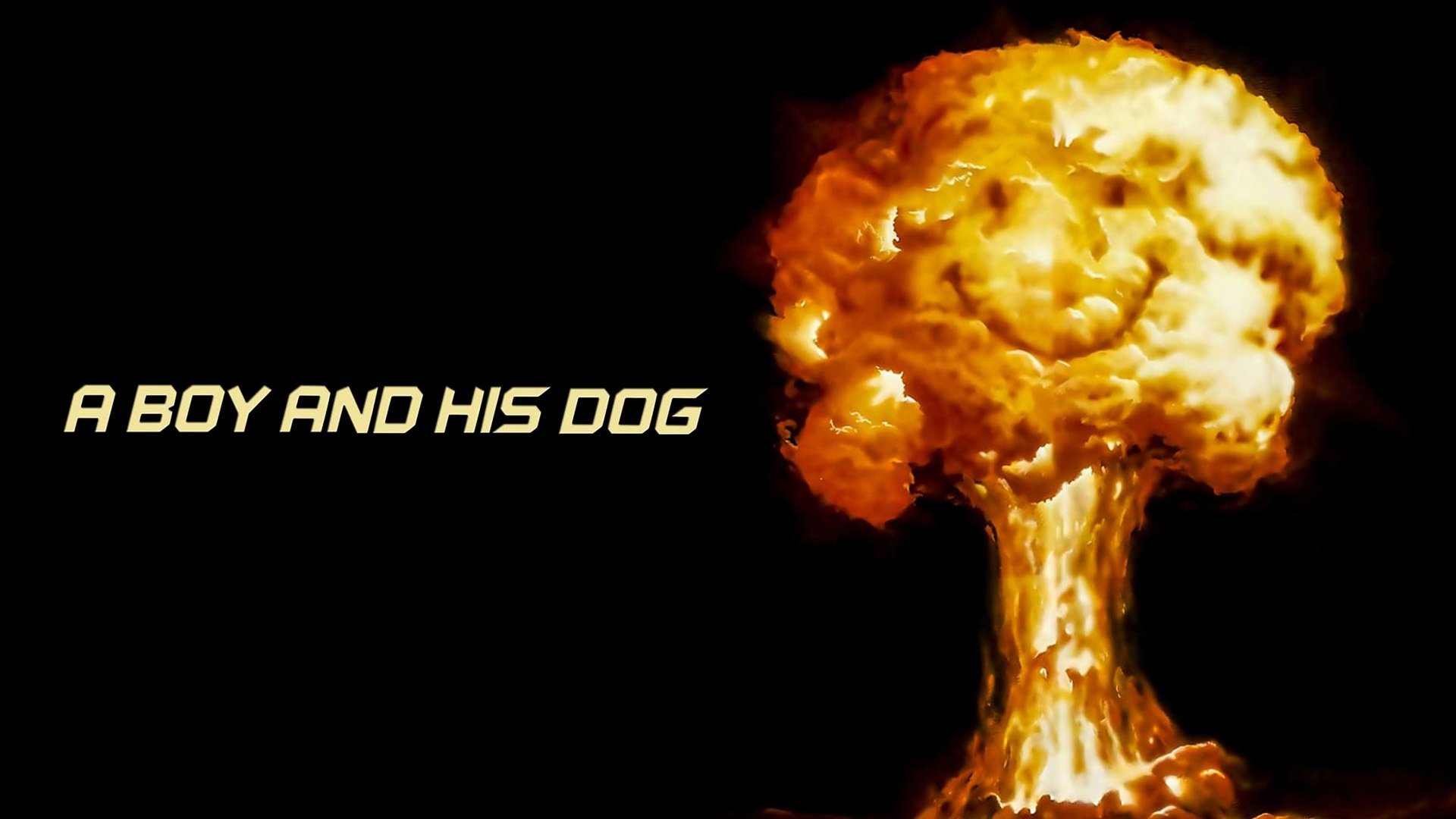 31-facts-about-the-movie-a-boy-and-his-dog