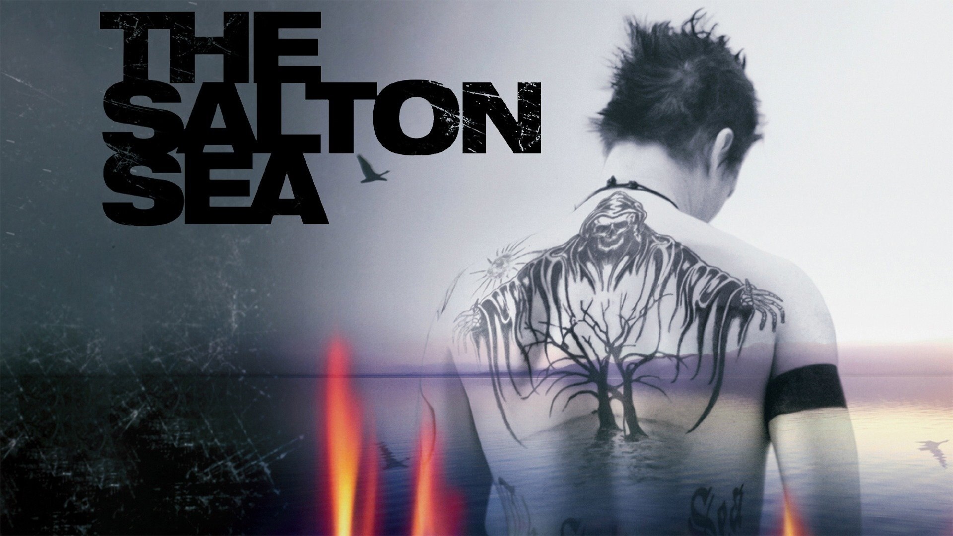 31-facts-about-the-movie-the-salton-sea