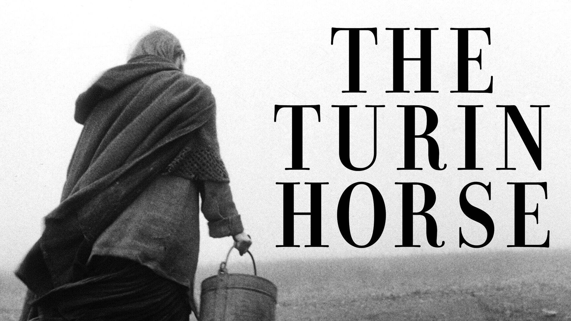 31-facts-about-the-movie-the-turin-horse