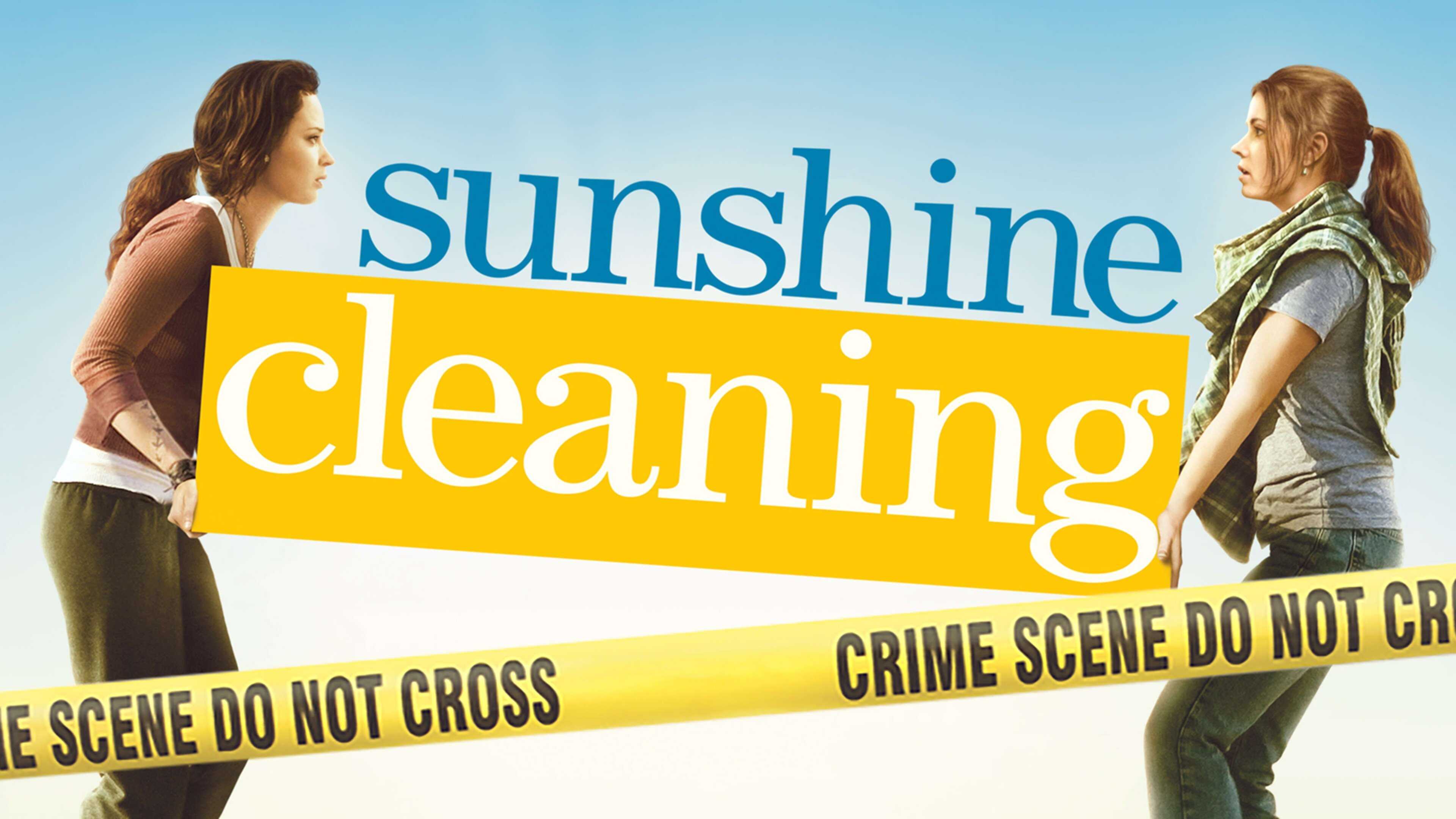 38-facts-about-the-movie-sunshine-cleaning