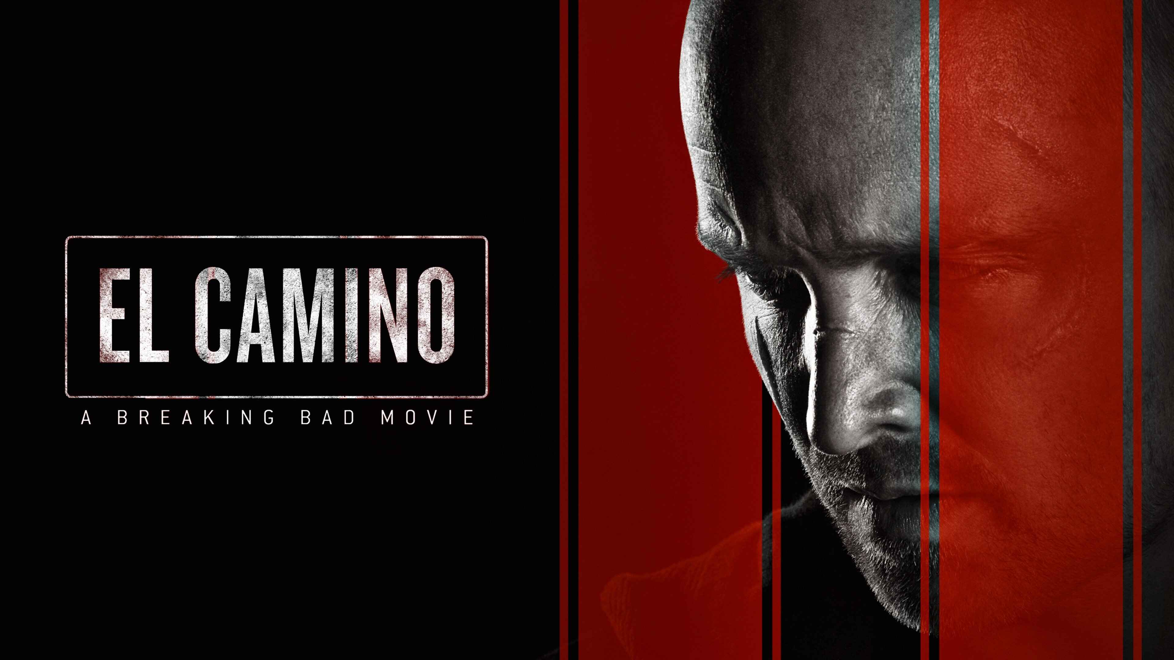 42-facts-about-the-movie-el-camino-a-breaking-bad-movie