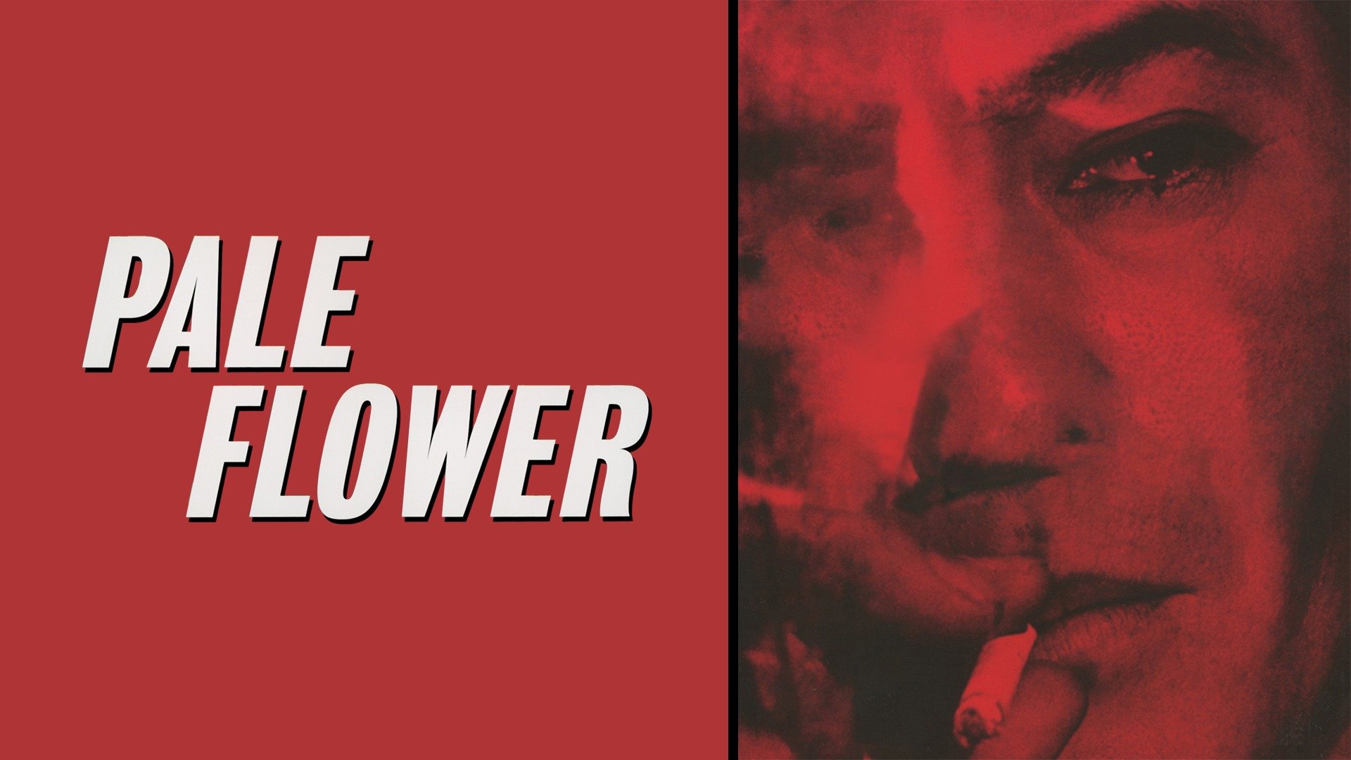46-facts-about-the-movie-pale-flower