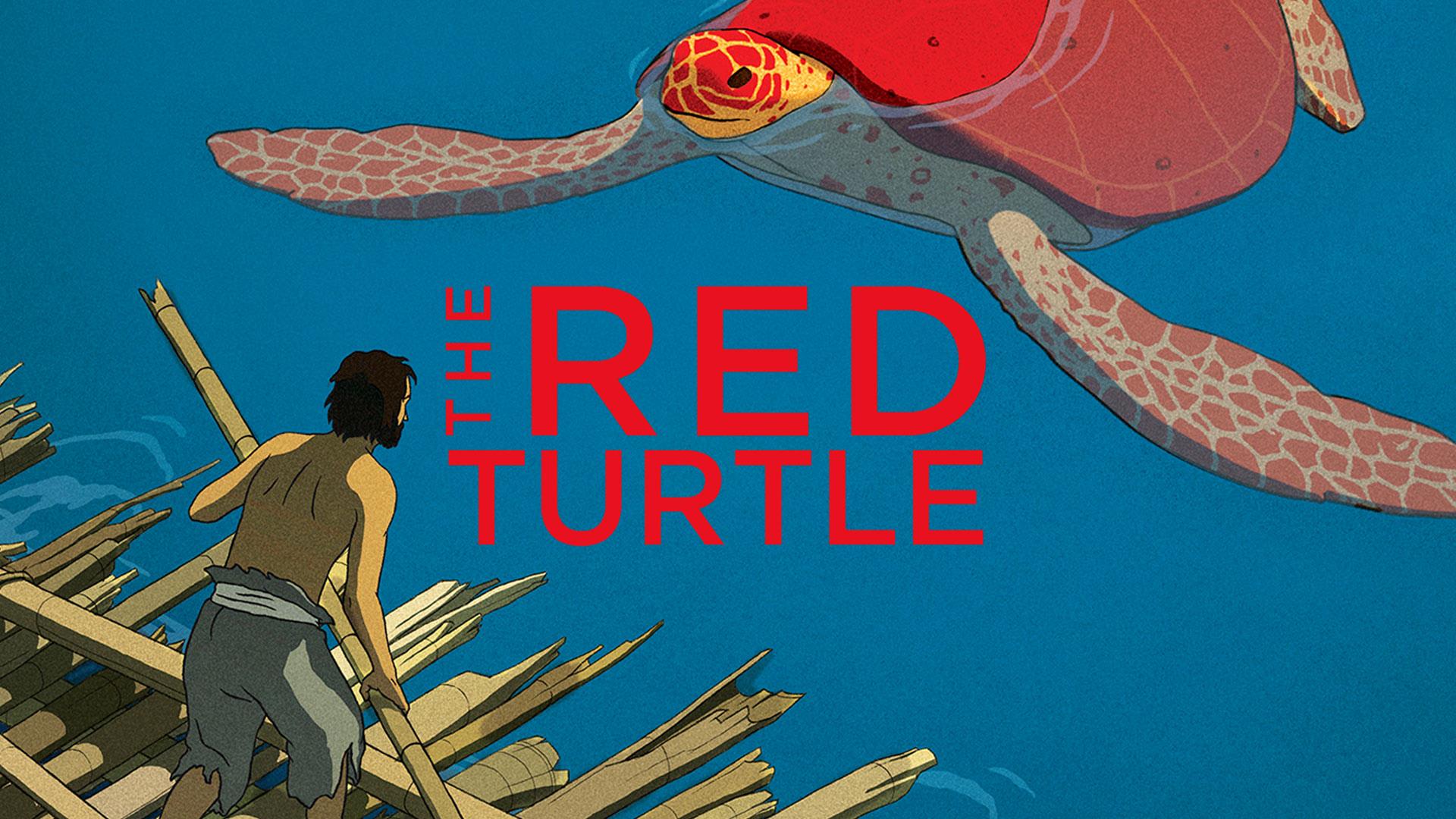 49-facts-about-the-movie-the-red-turtle