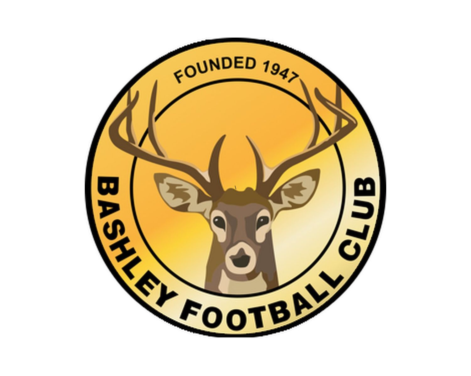 bashley-fc-21-football-club-facts