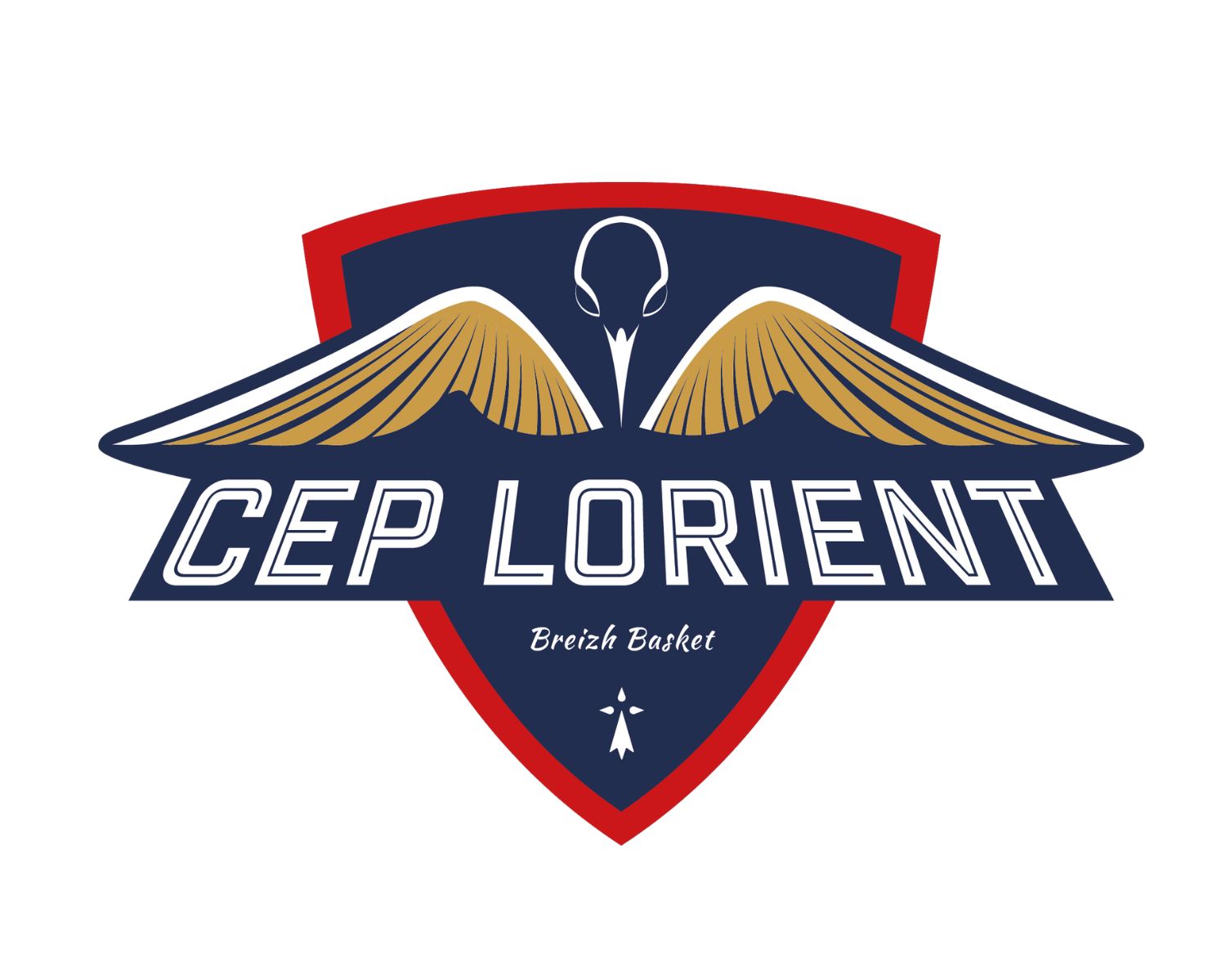cep-lorient-21-football-club-facts