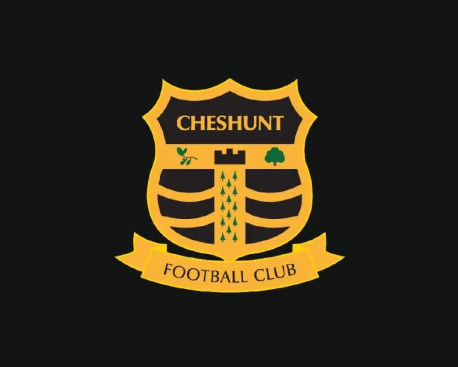 cheshunt-fc-20-football-club-facts