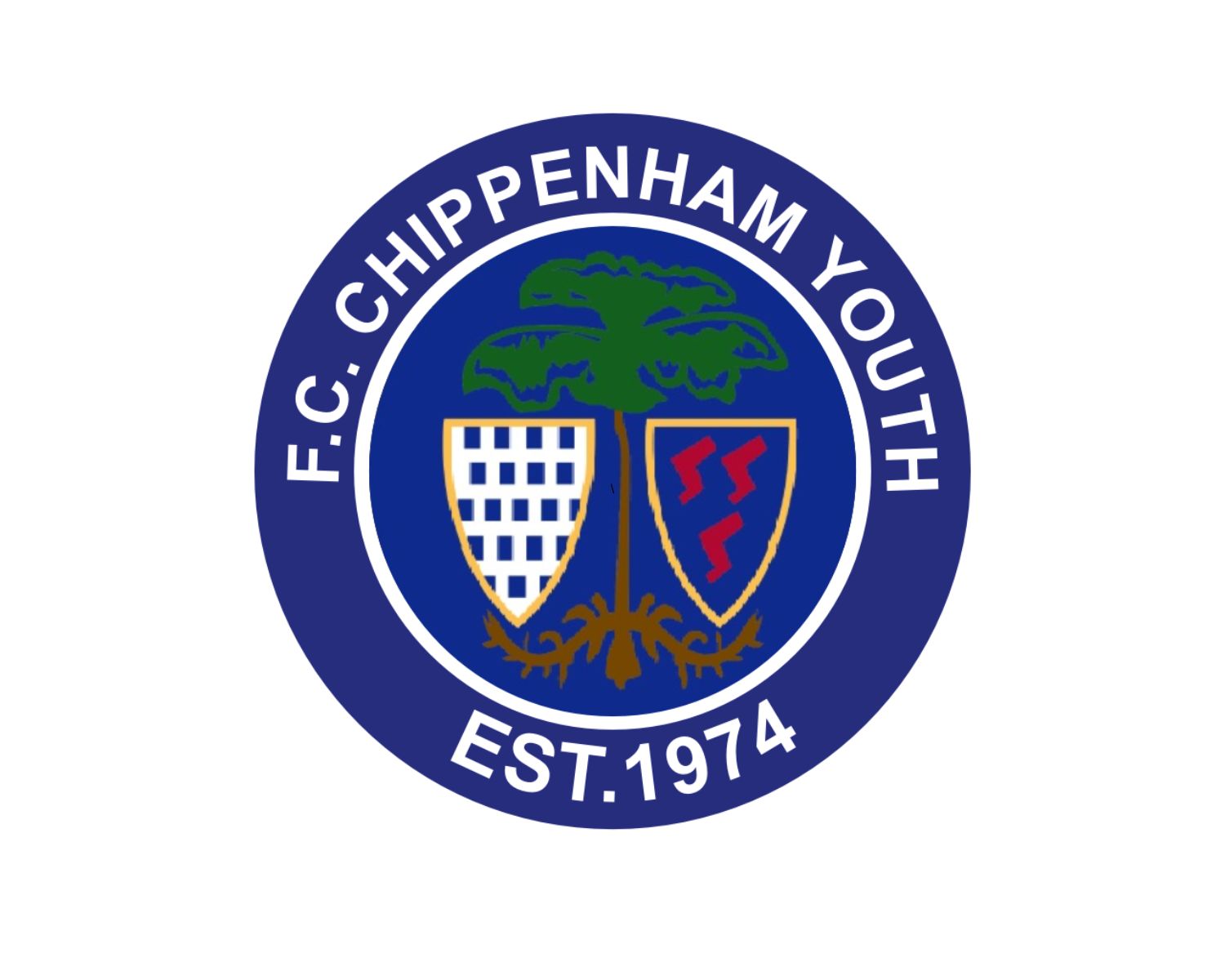 chippenham-town-fc-22-football-club-facts