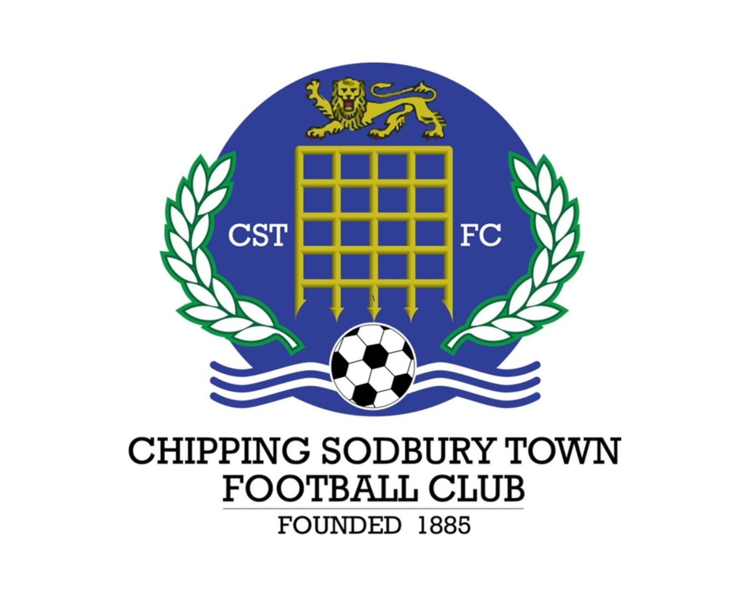 chipping-sodbury-town-fc-20-football-club-facts