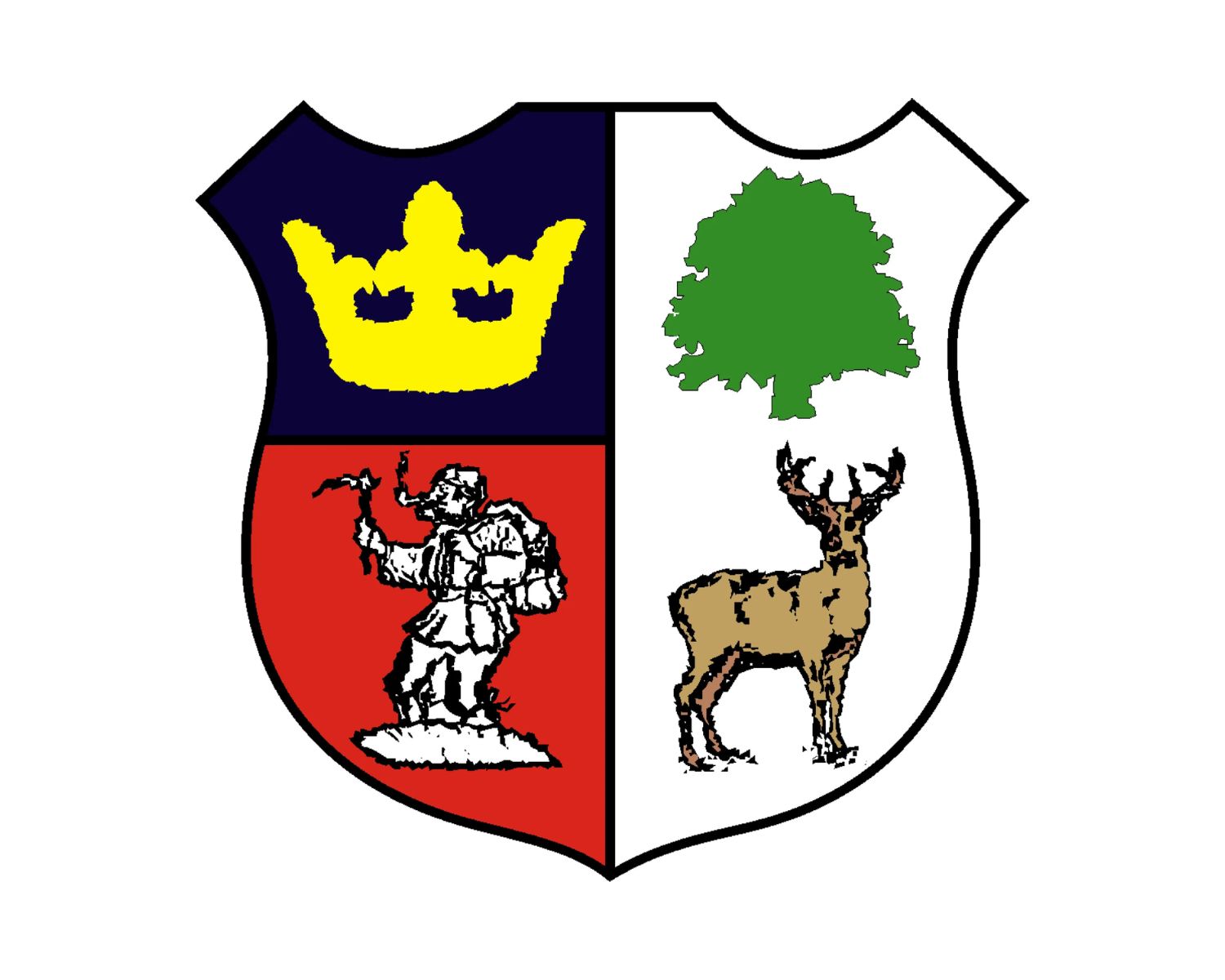cinderford-town-a-f-c-25-football-club-facts