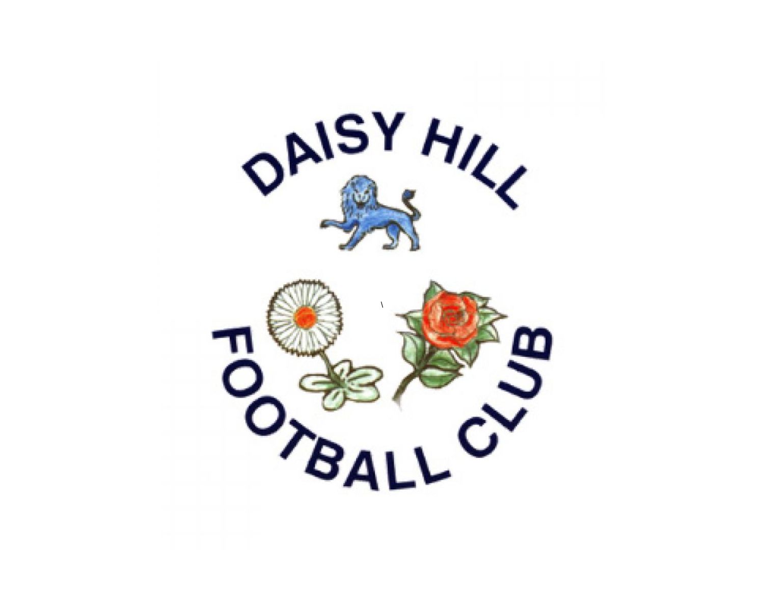 Daisy Hill FC: 10 Football Club Facts - Facts.net