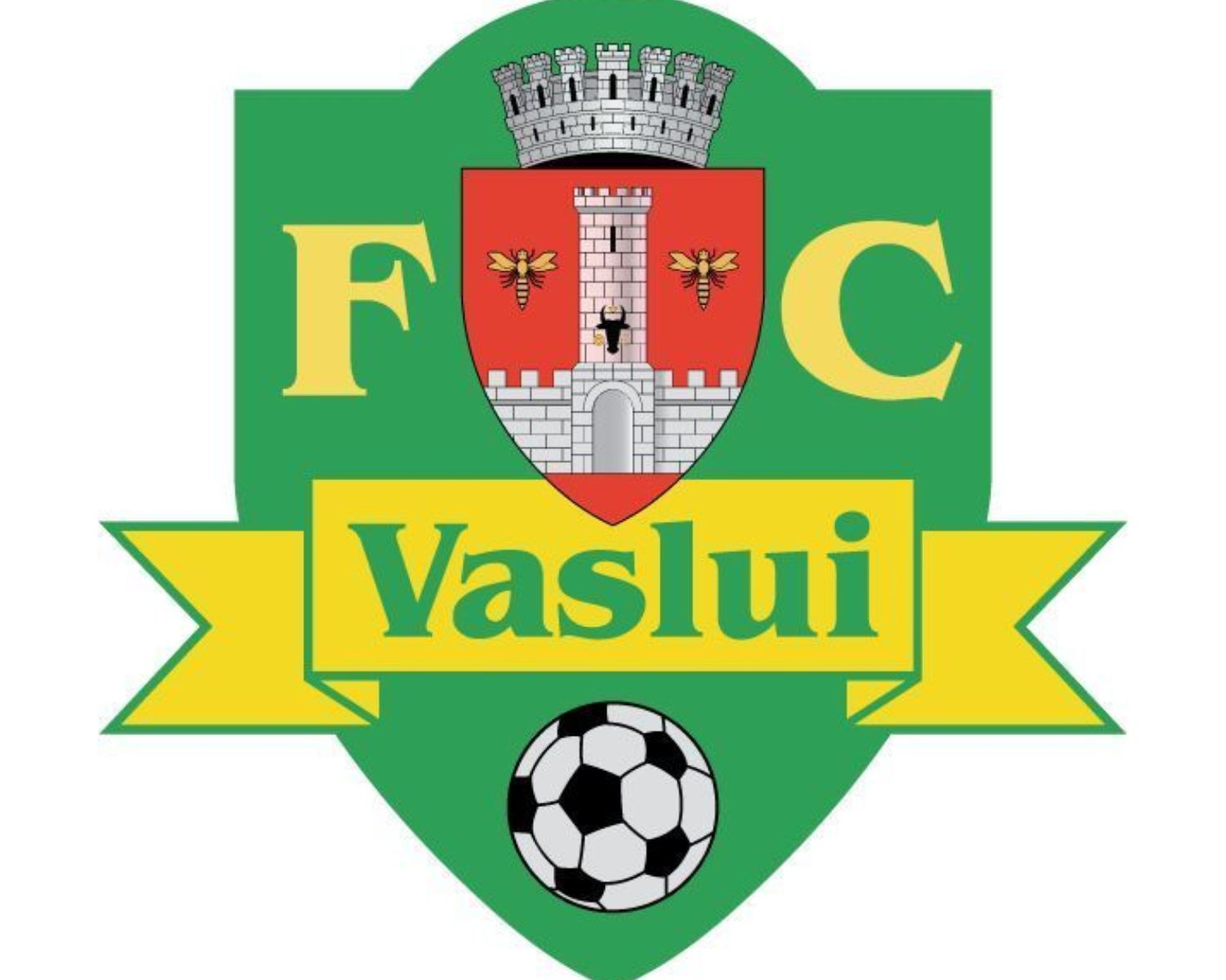 fc-vaslui-15-football-club-facts