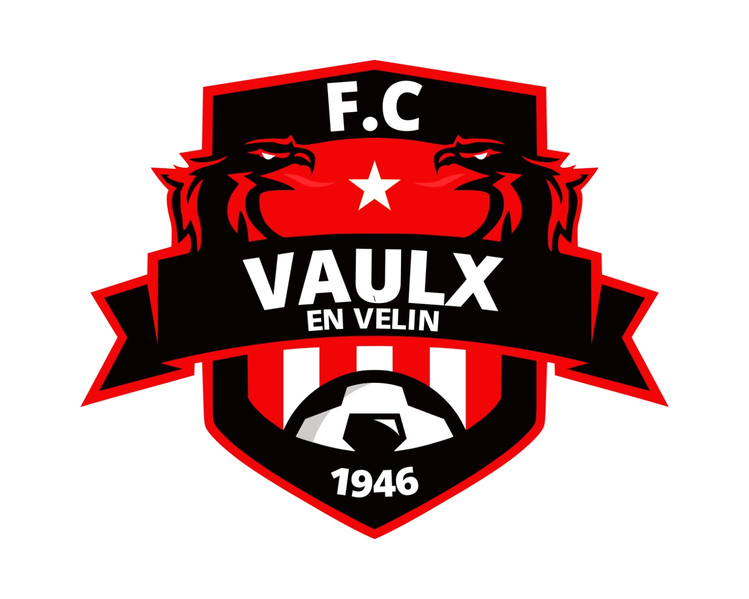 fc-vaulx-en-velin-11-football-club-facts