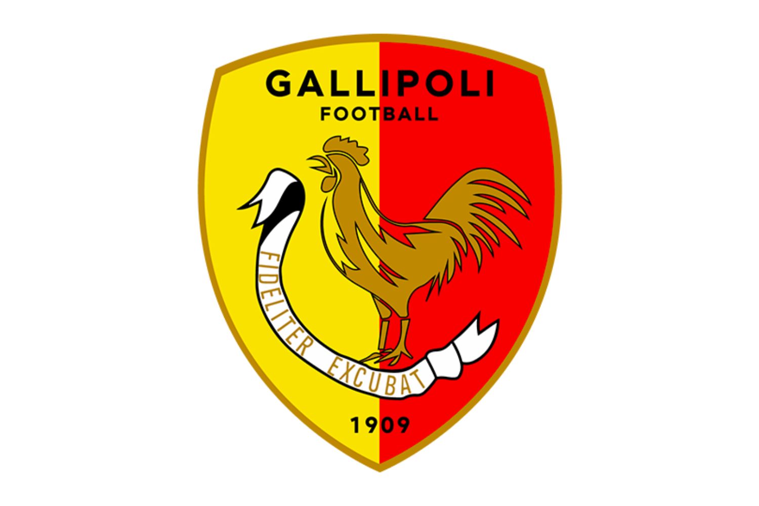 gallipoli-calcio-19-football-club-facts