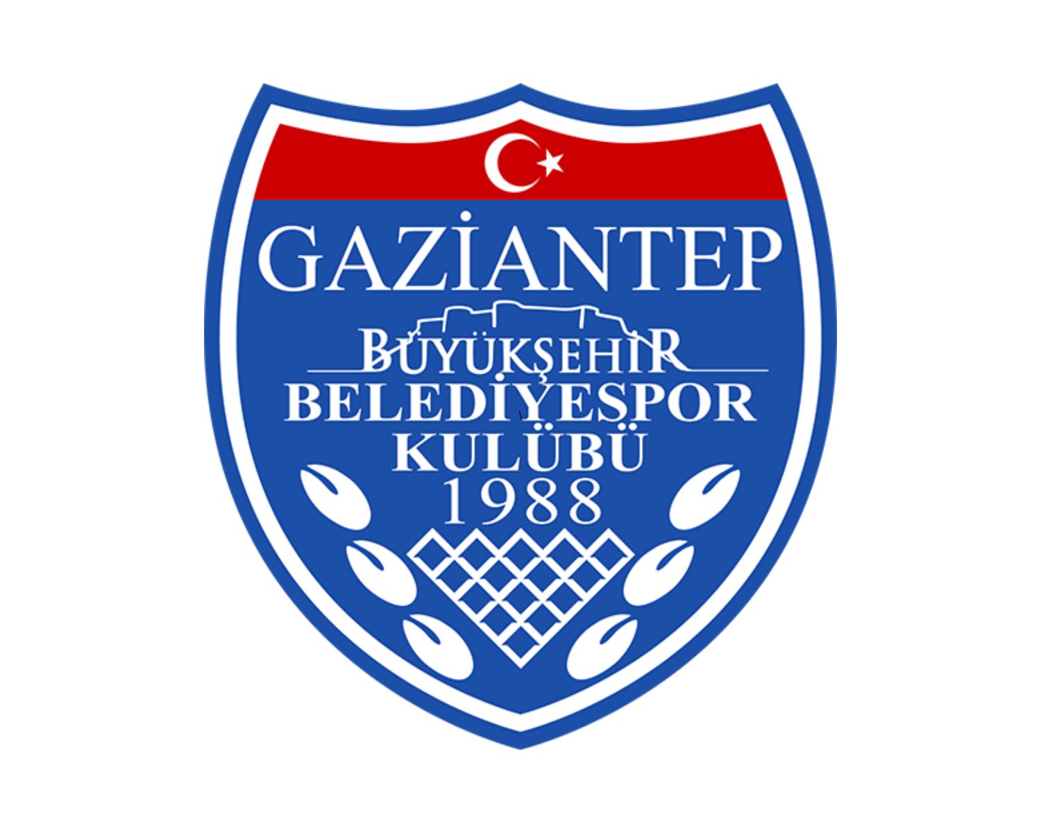 gaziantep-buyuksehir-belediyespor-12-football-club-facts