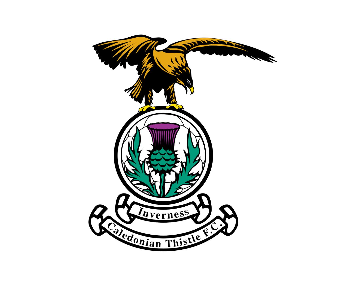 inverness-caledonian-thistle-fc-15-football-club-facts