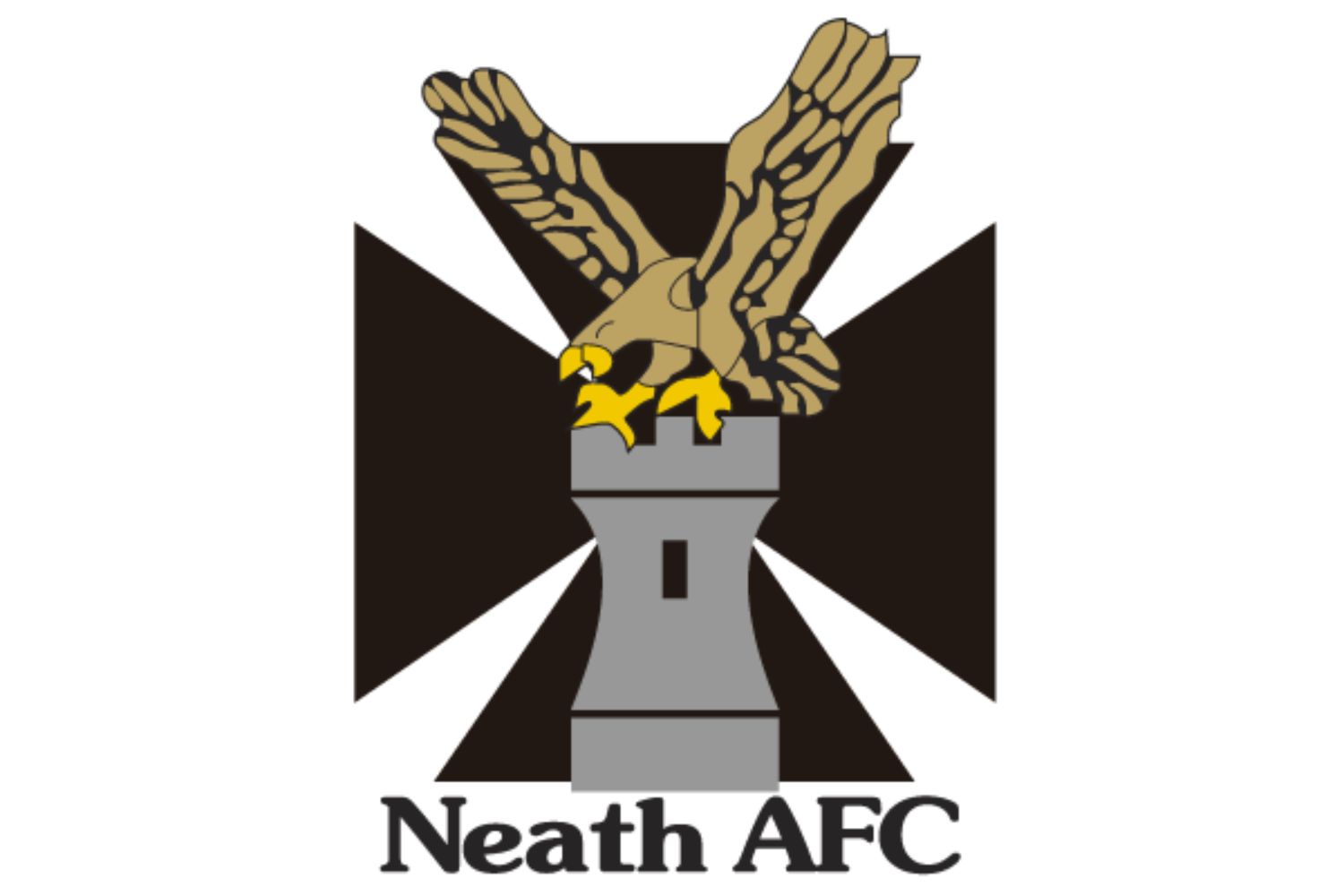 neath-fc-25-football-club-facts