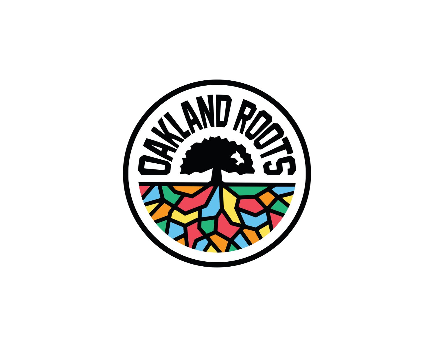 oakland-roots-sc-18-football-club-facts
