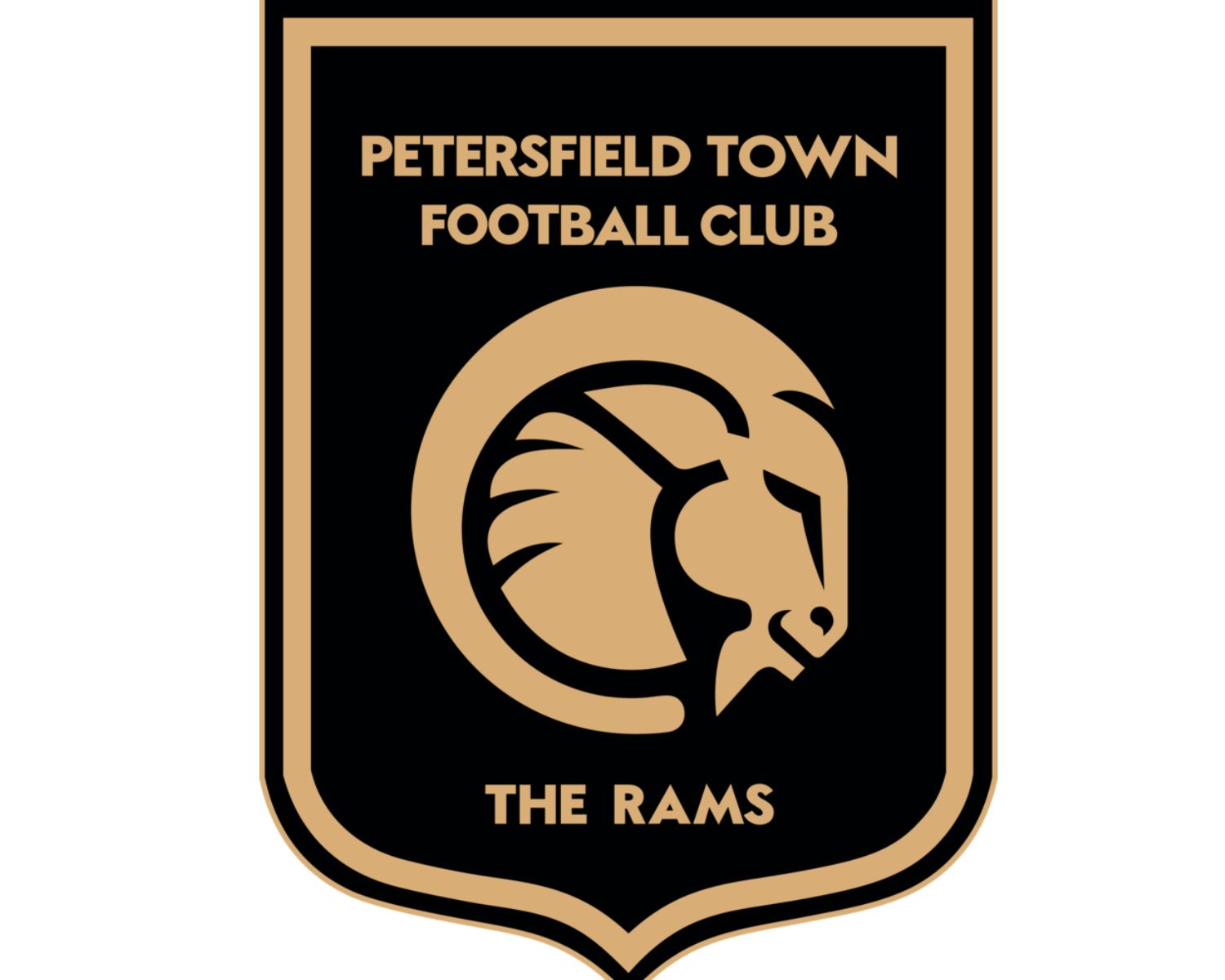 petersfield-town-fc-23-football-club-facts