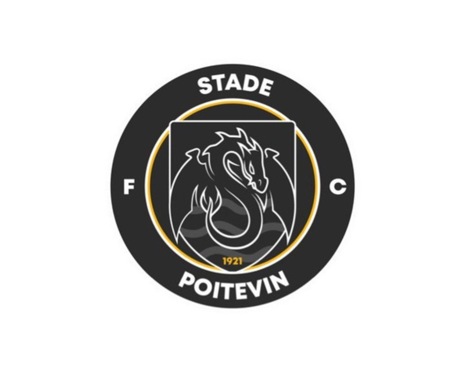 poitiers-fc-18-football-club-facts