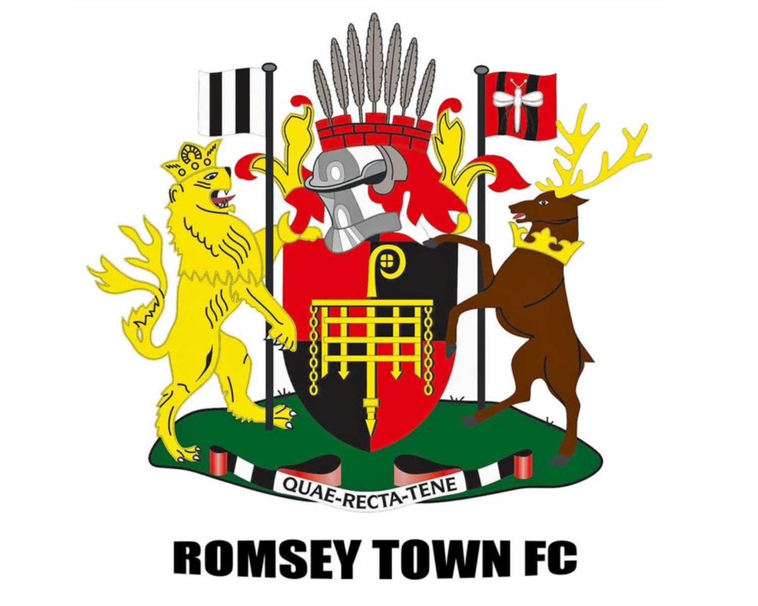 romsey-town-fc-21-football-club-facts