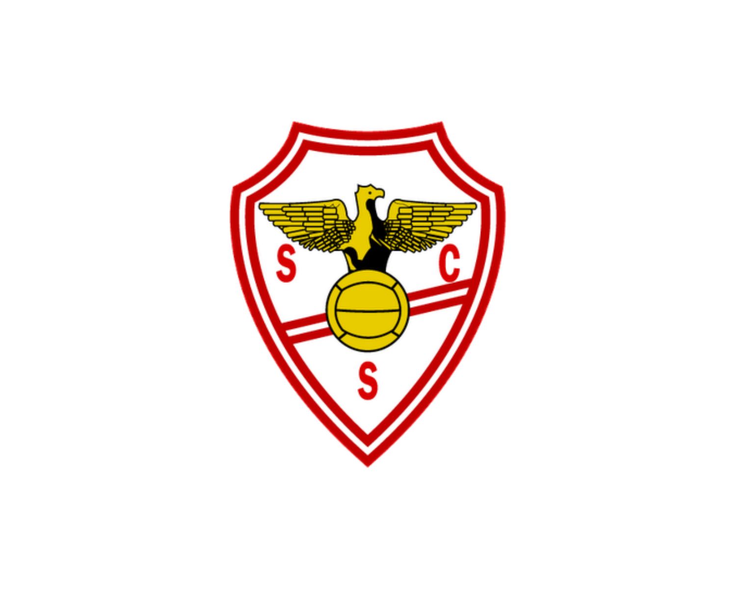 sc-salgueiros-25-football-club-facts