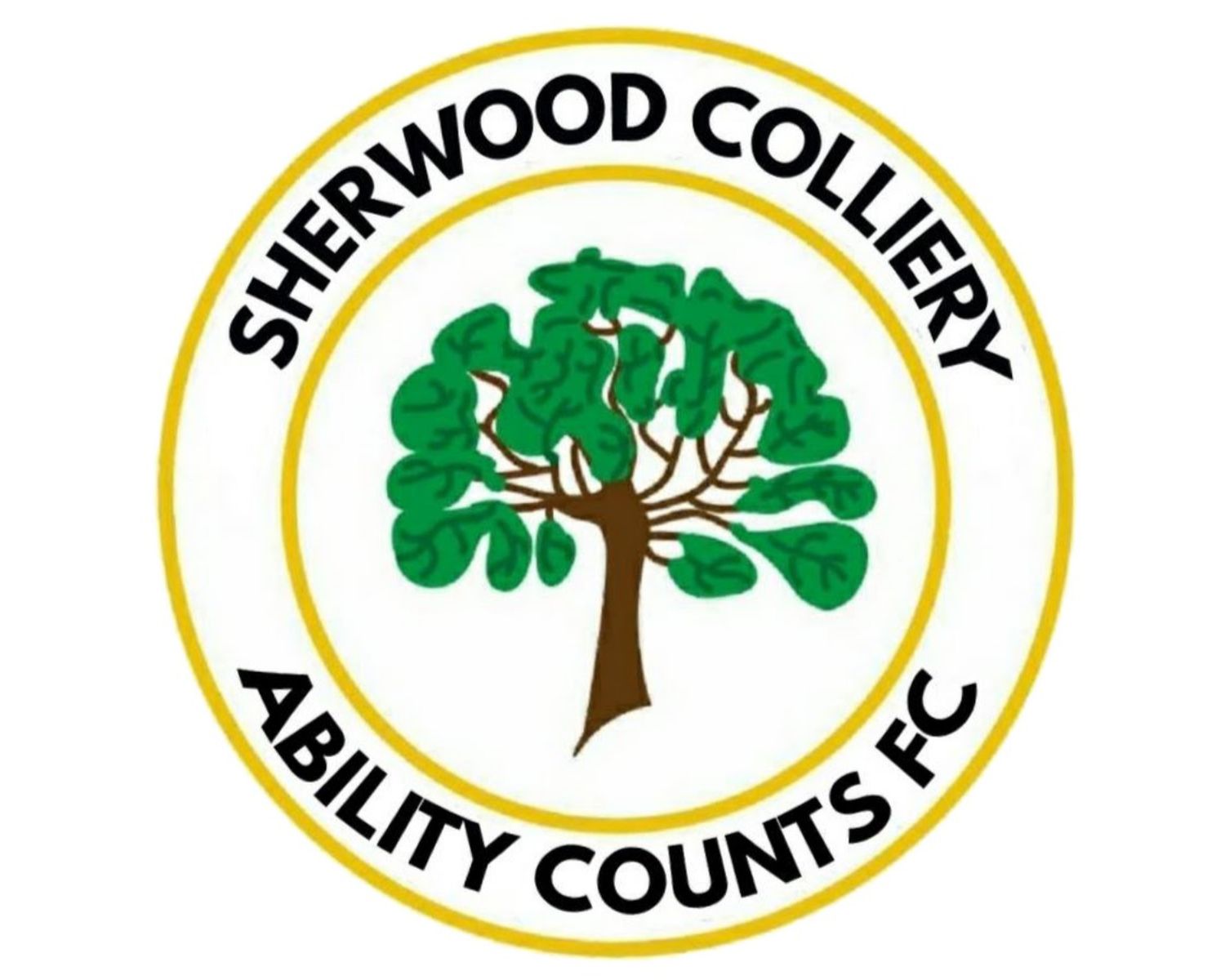 sherwood-colliery-fc-17-football-club-facts