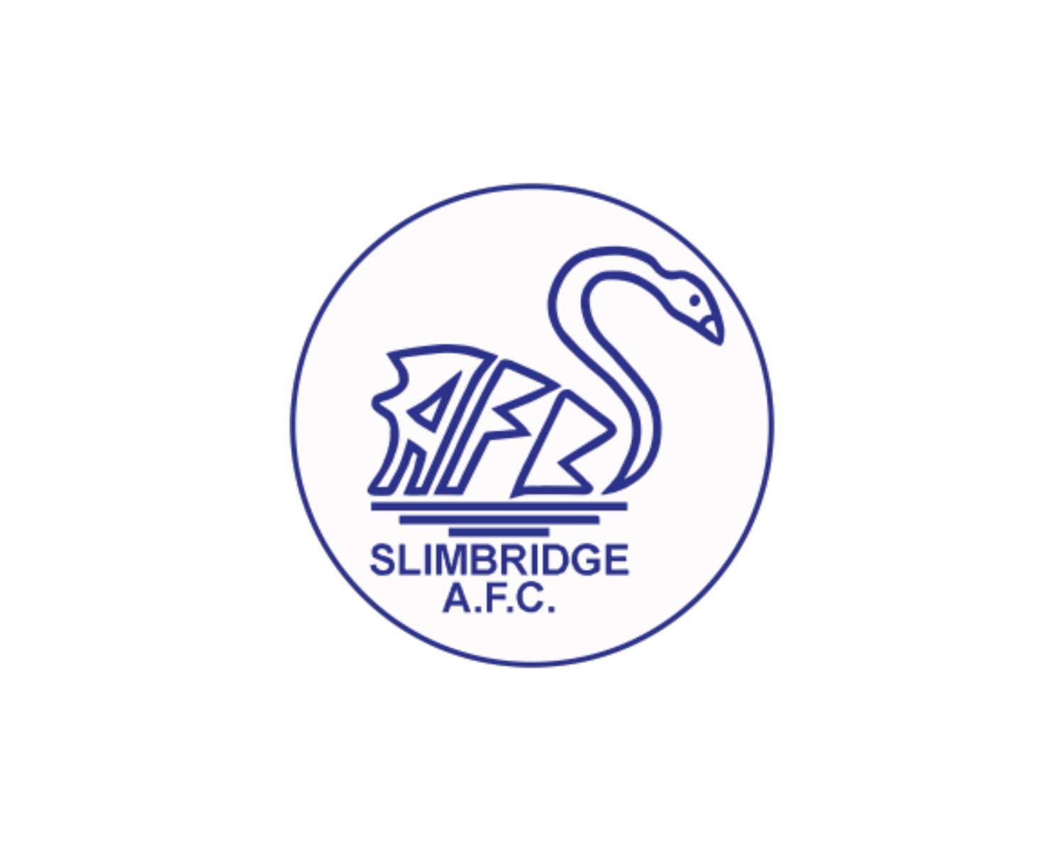 slimbridge-fc-22-football-club-facts
