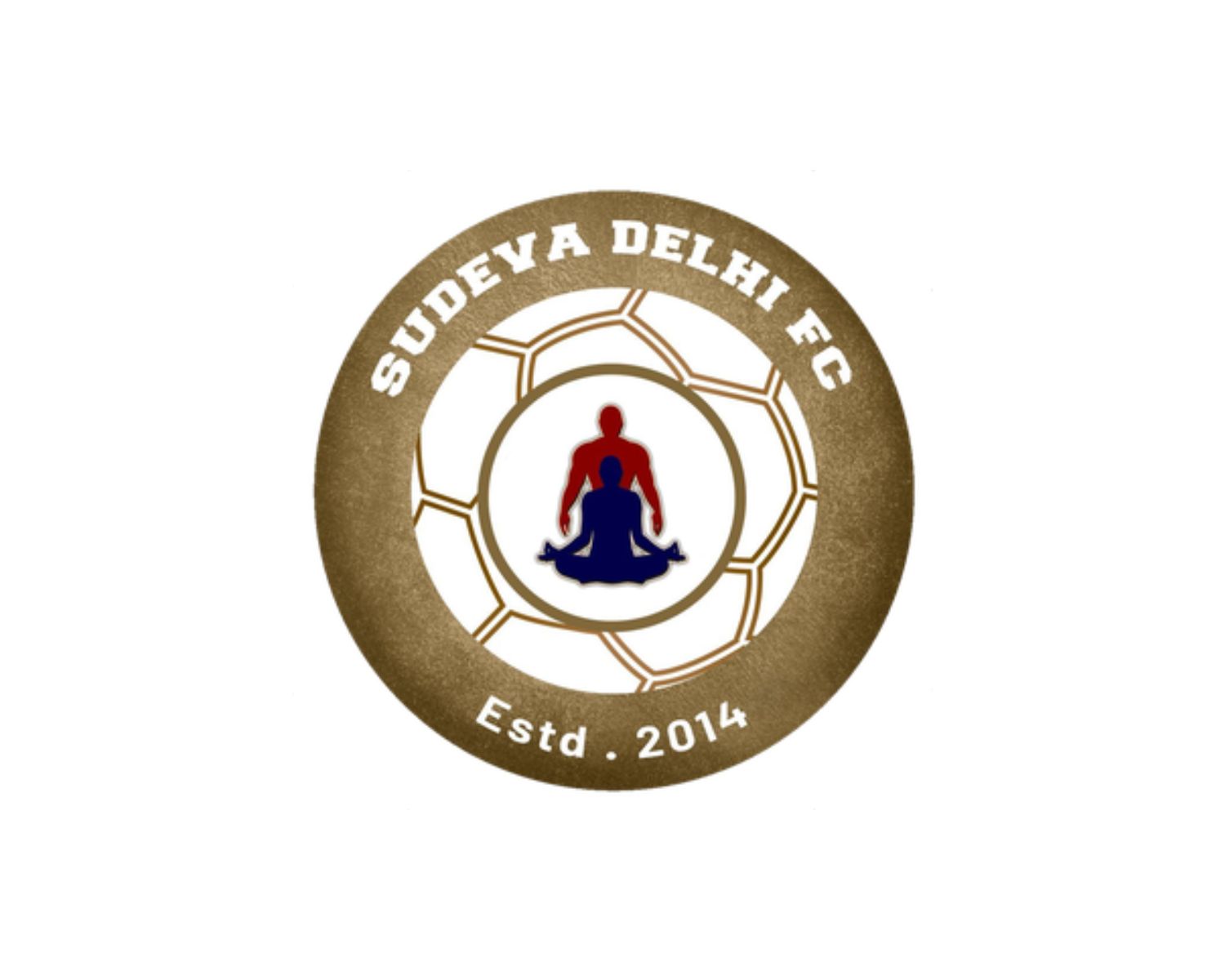 sudeva-delhi-fc-20-football-club-facts