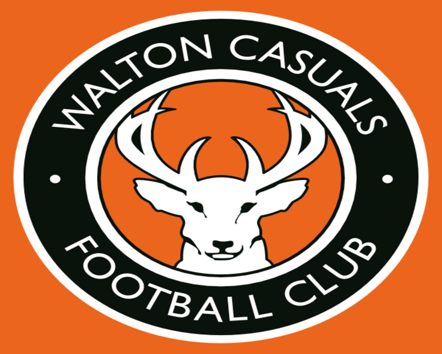walton-casuals-fc-25-football-club-facts