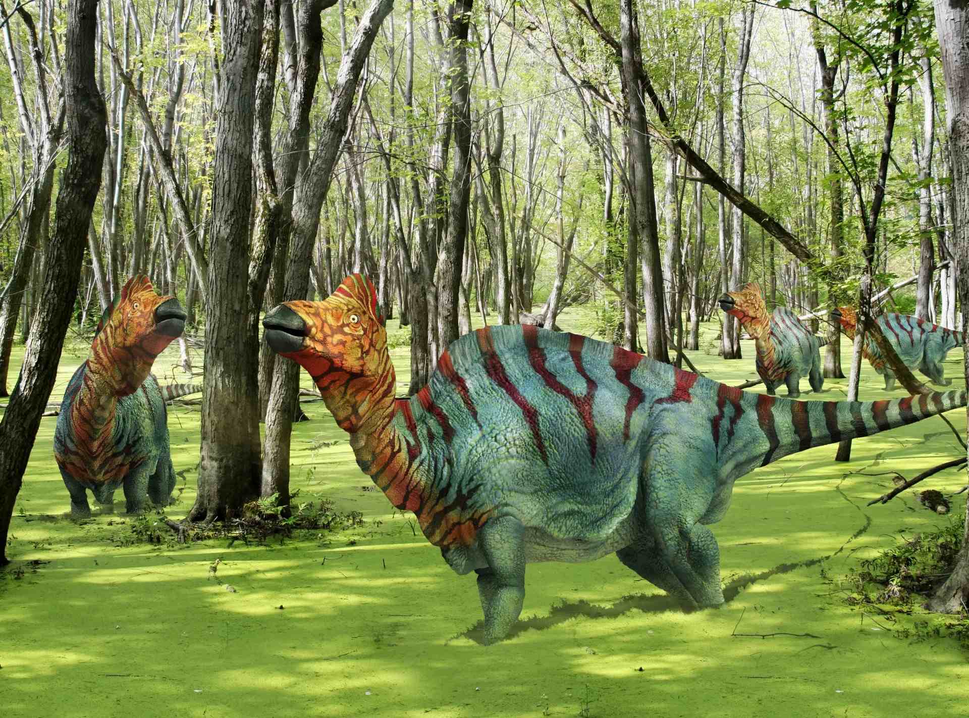 10-corythosaurus-facts