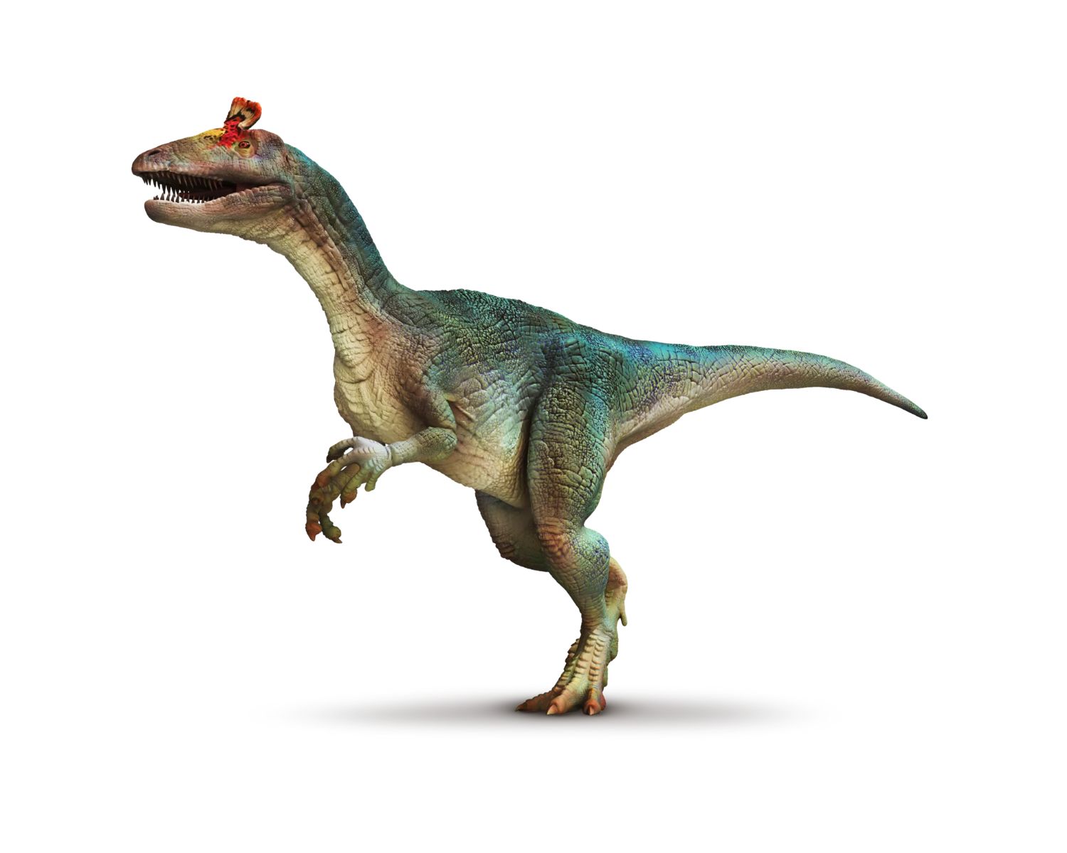 10-cryolophosaurus-facts
