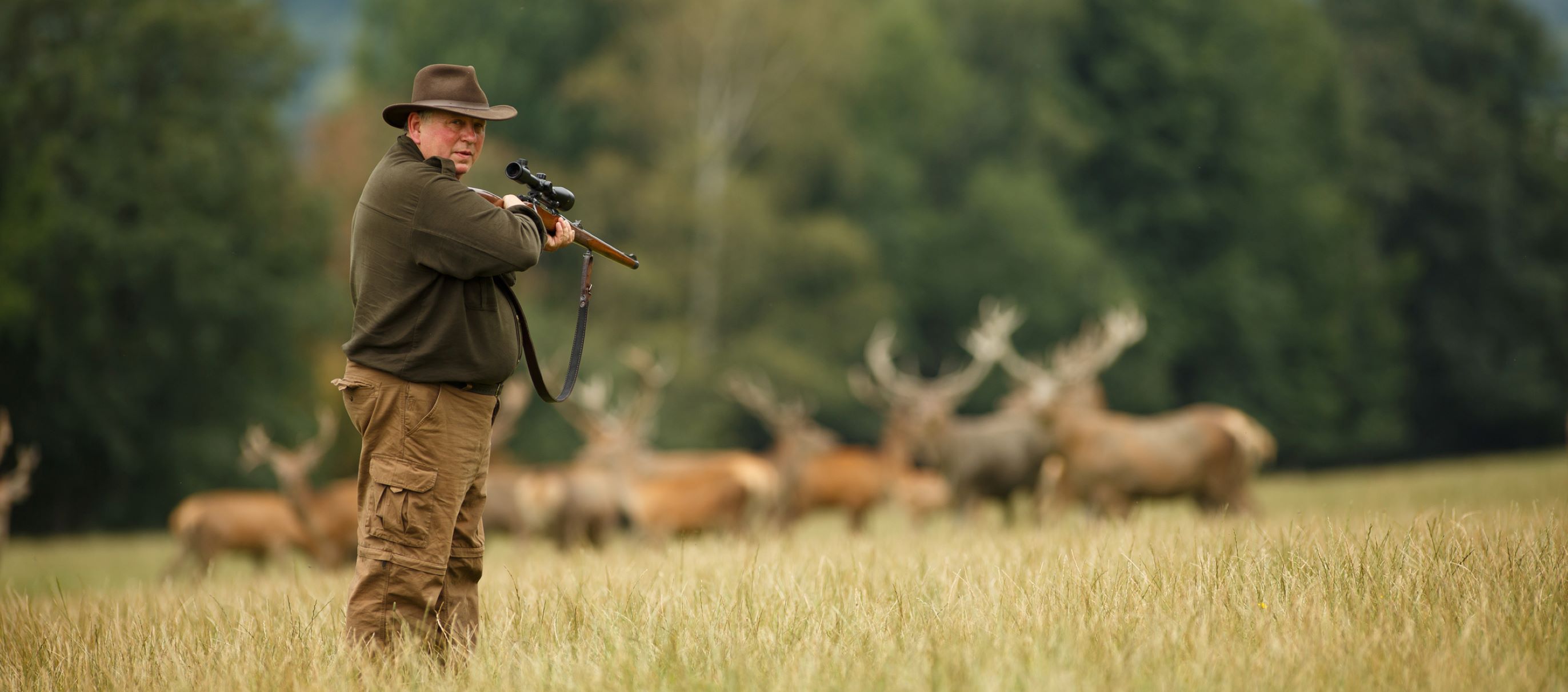 10-facts-about-deer-hunting
