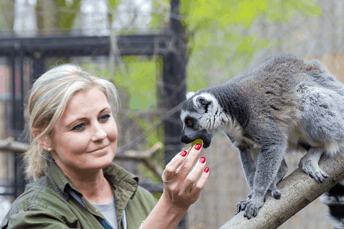 10-facts-about-zookeepers