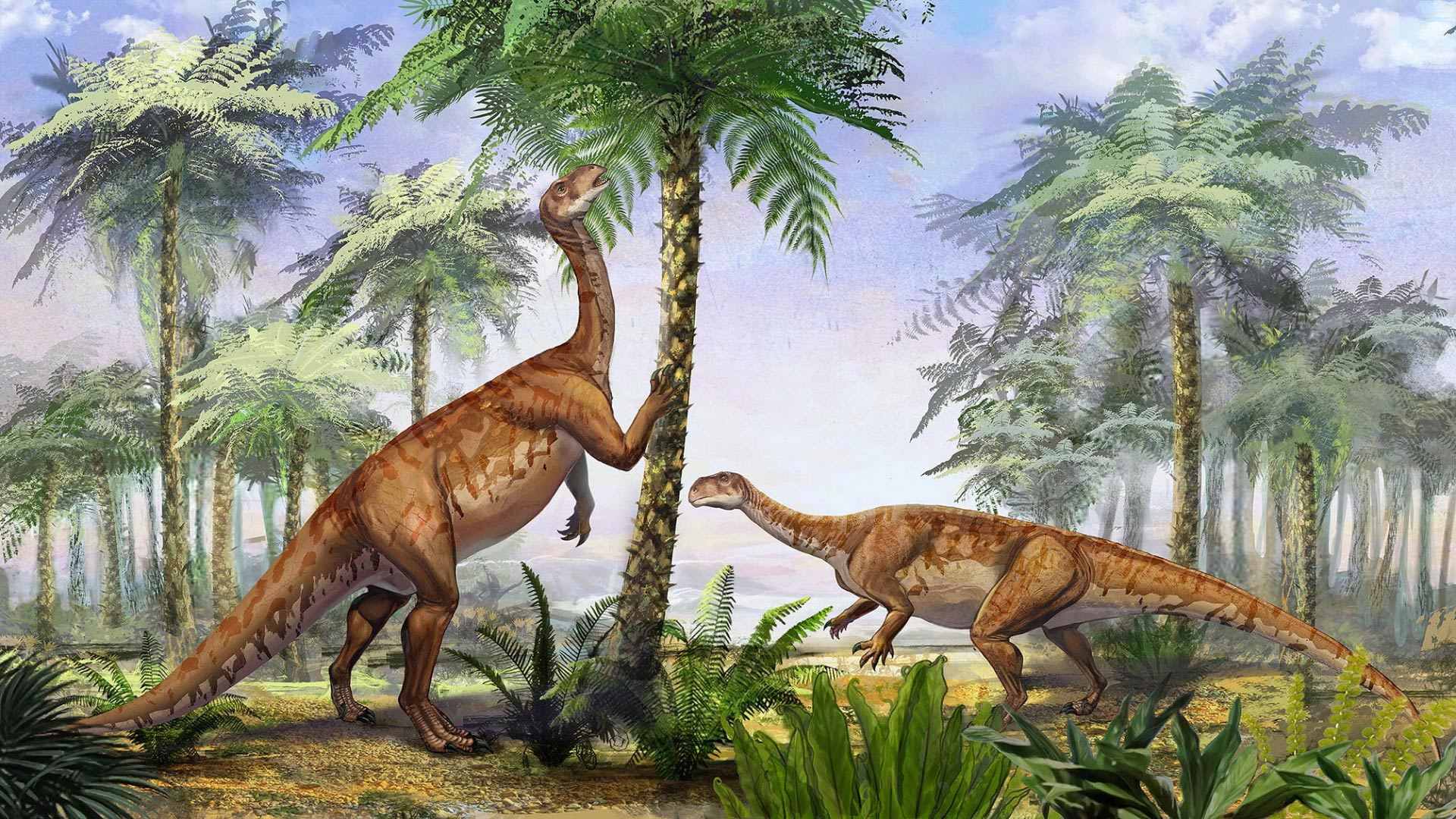 10 Herbivore Dinosaur Facts - Facts.net