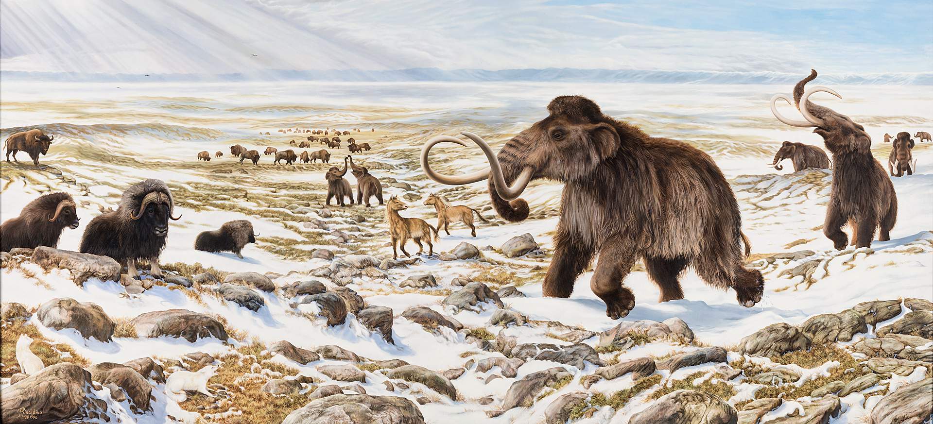 10-ice-age-animals-facts
