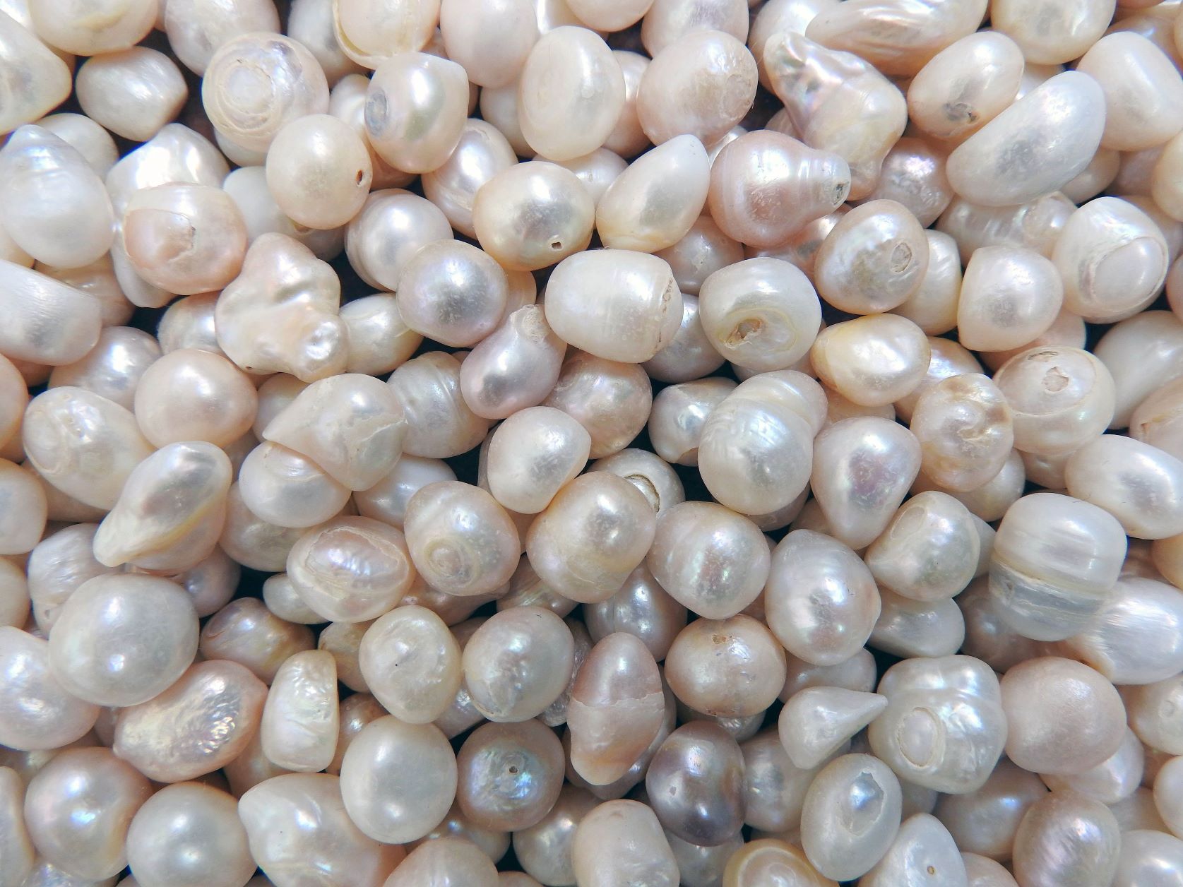10-interesting-facts-about-pearls