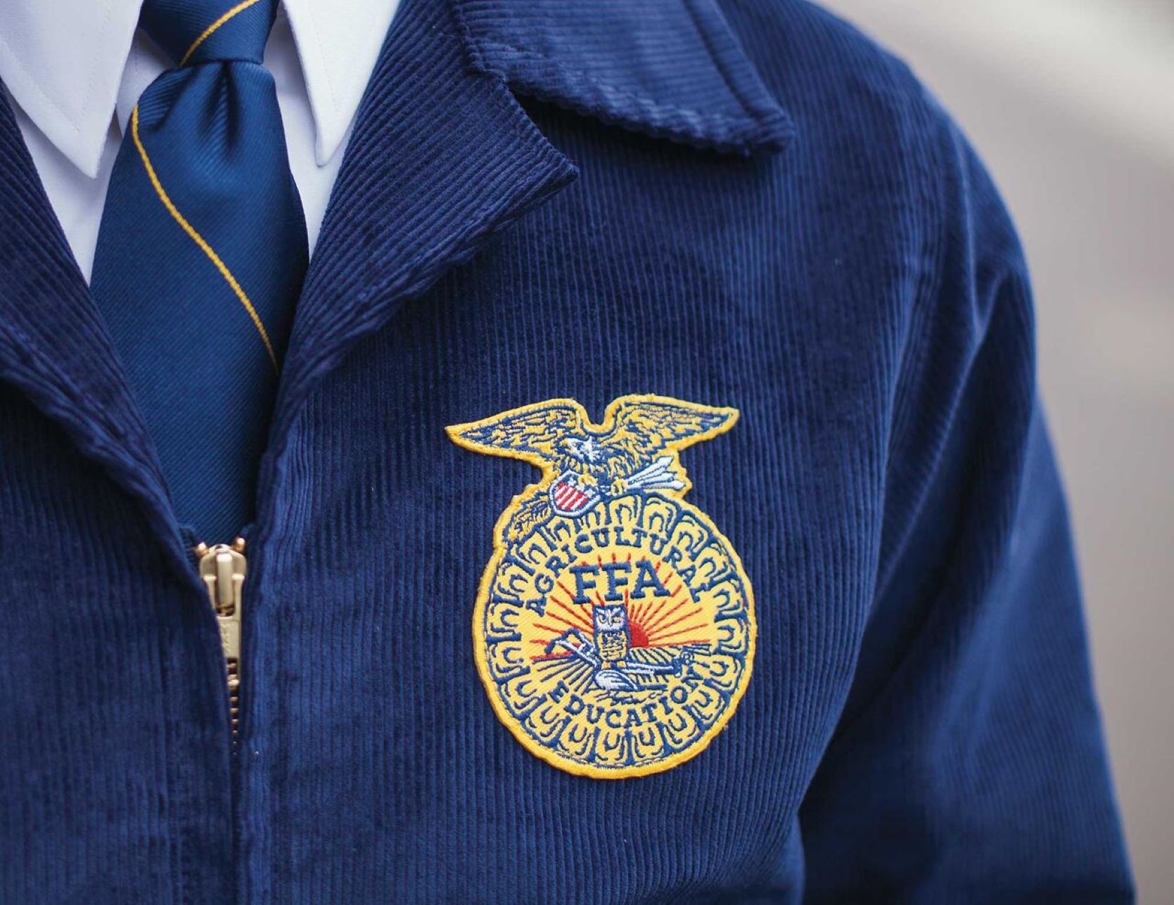 10 Interesting FFA Facts Facts