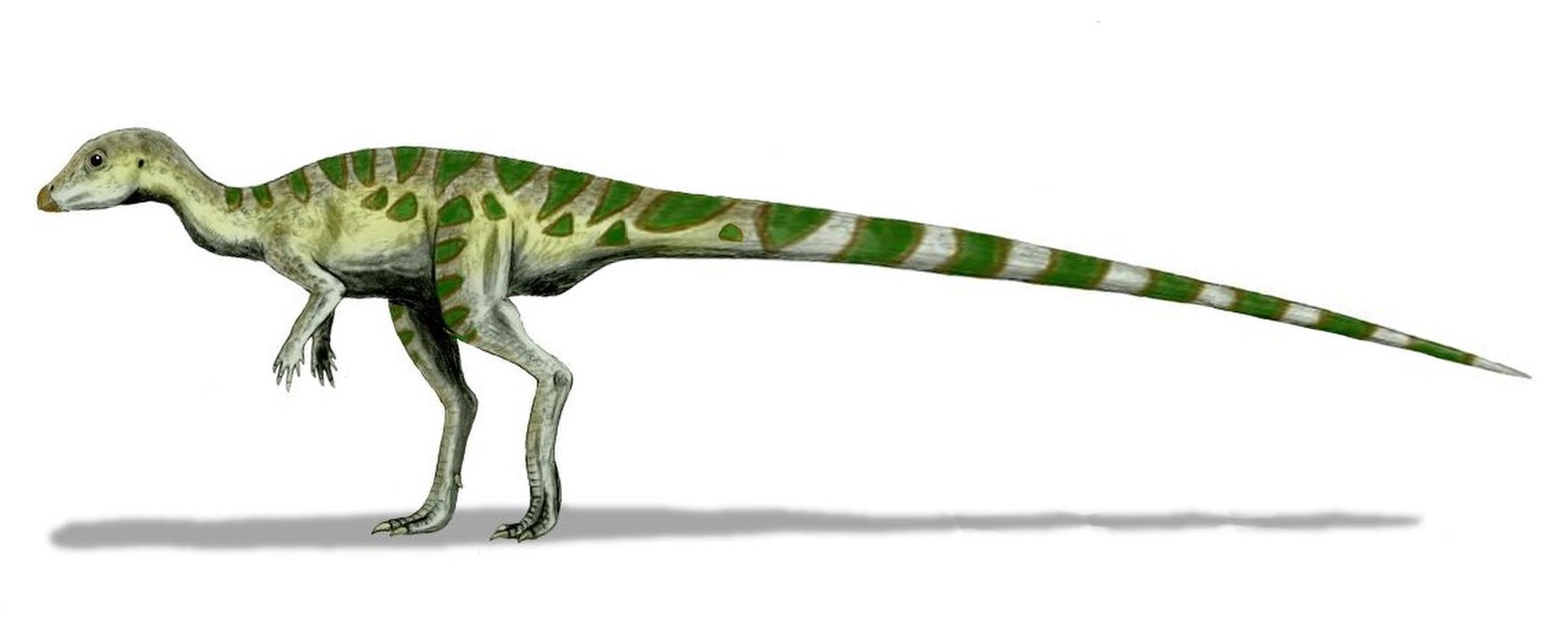 10-leaellynasaura-facts