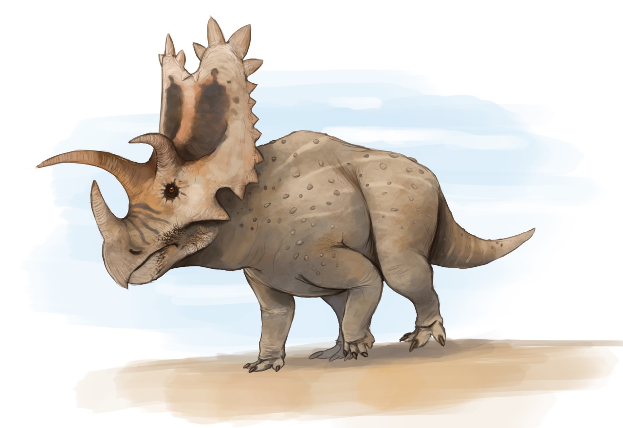 10-pentaceratops-facts