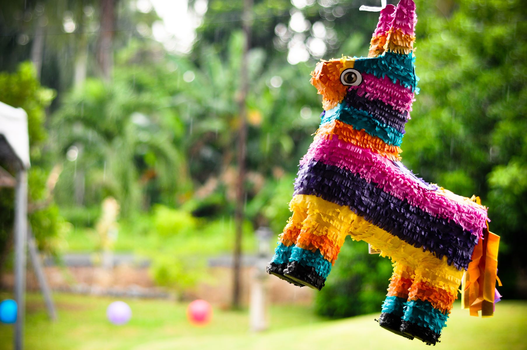 10 Pinata Facts - Facts.net