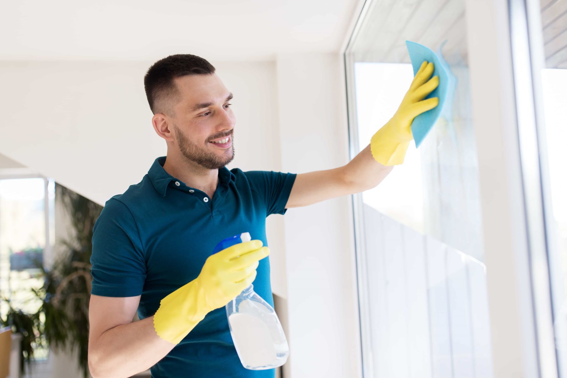 10-window-cleaning-facts