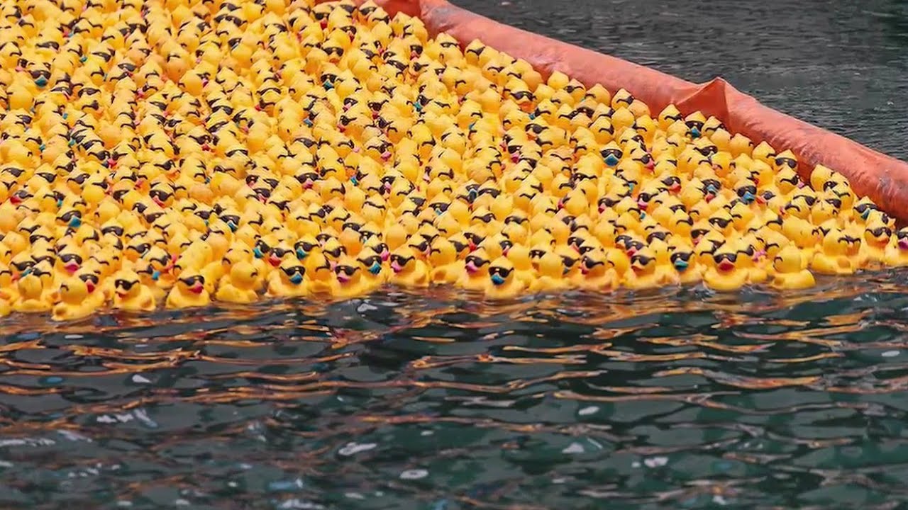 11-astonishing-facts-about-rubber-duck-derby