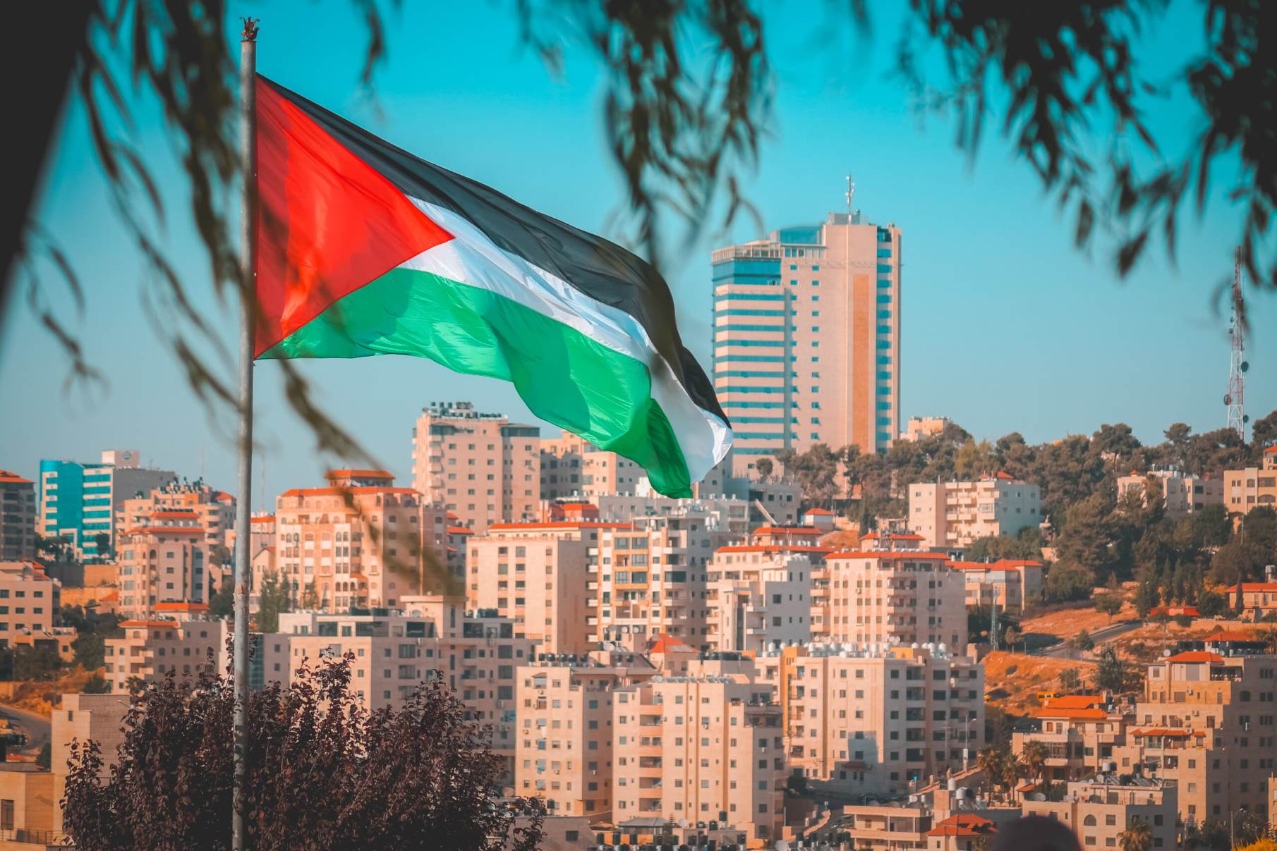 11-fun-facts-about-palestine