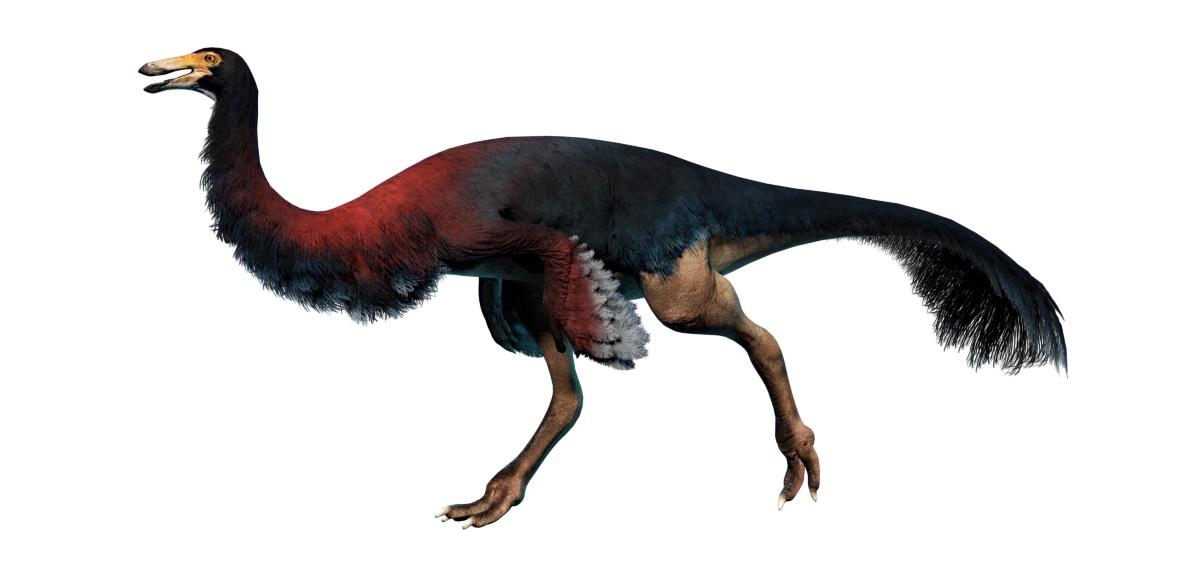 11-gallimimus-facts