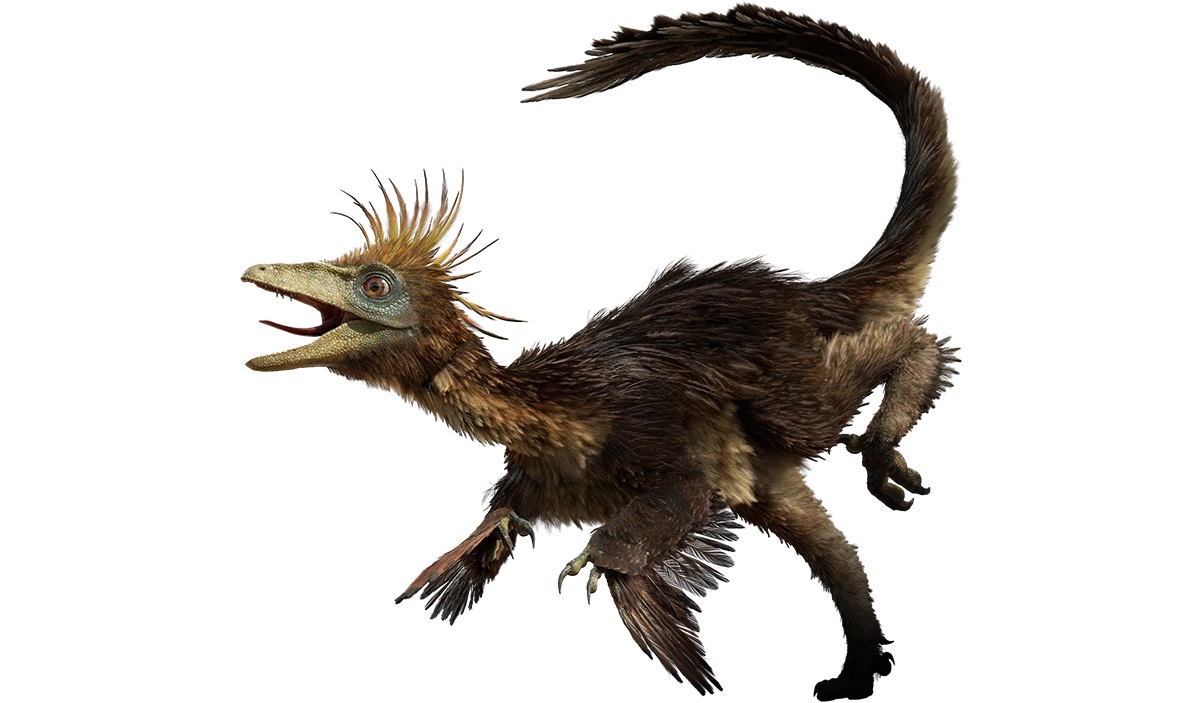 11-troodon-dinosaur-facts