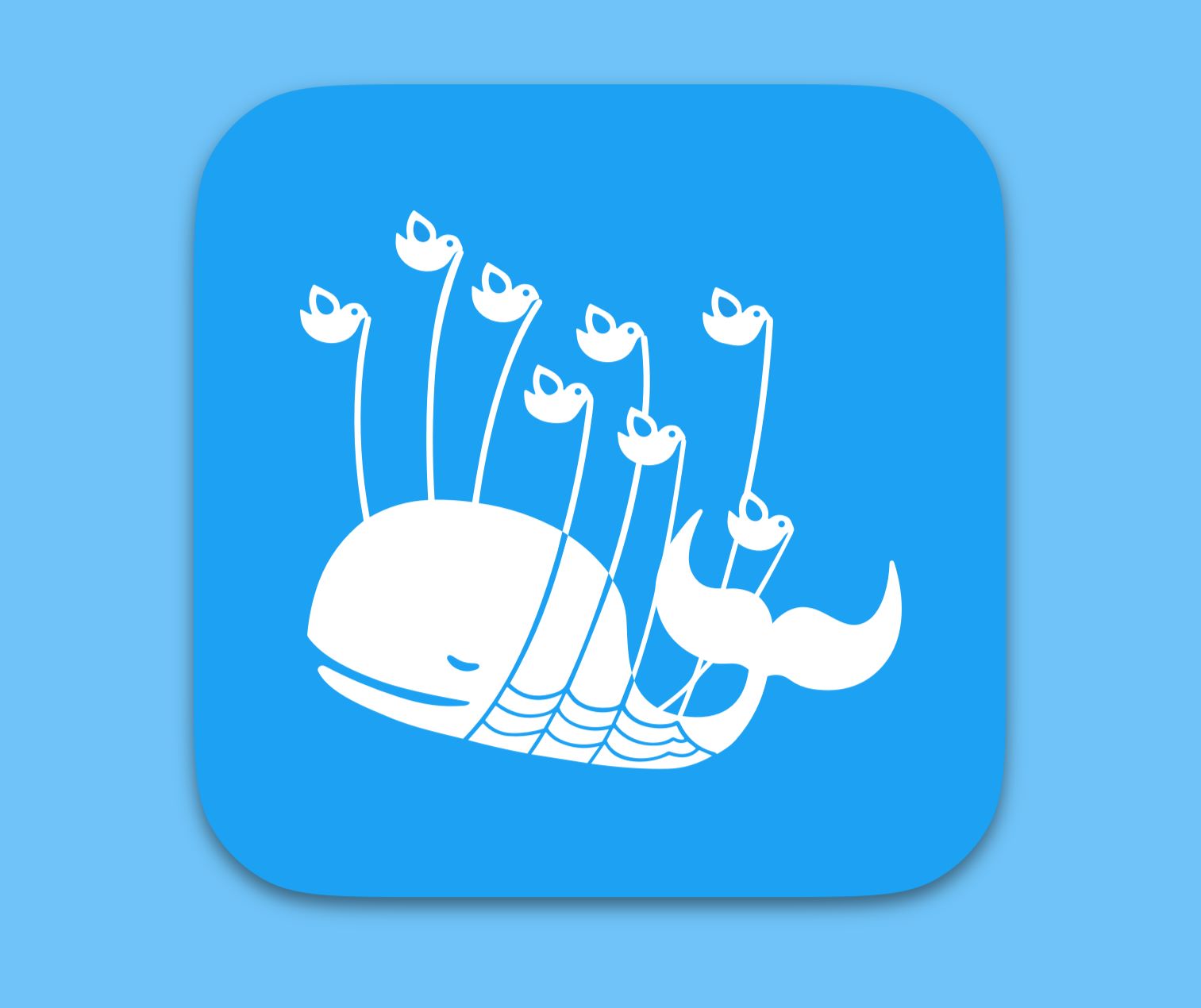 11-twitter-whale-facts