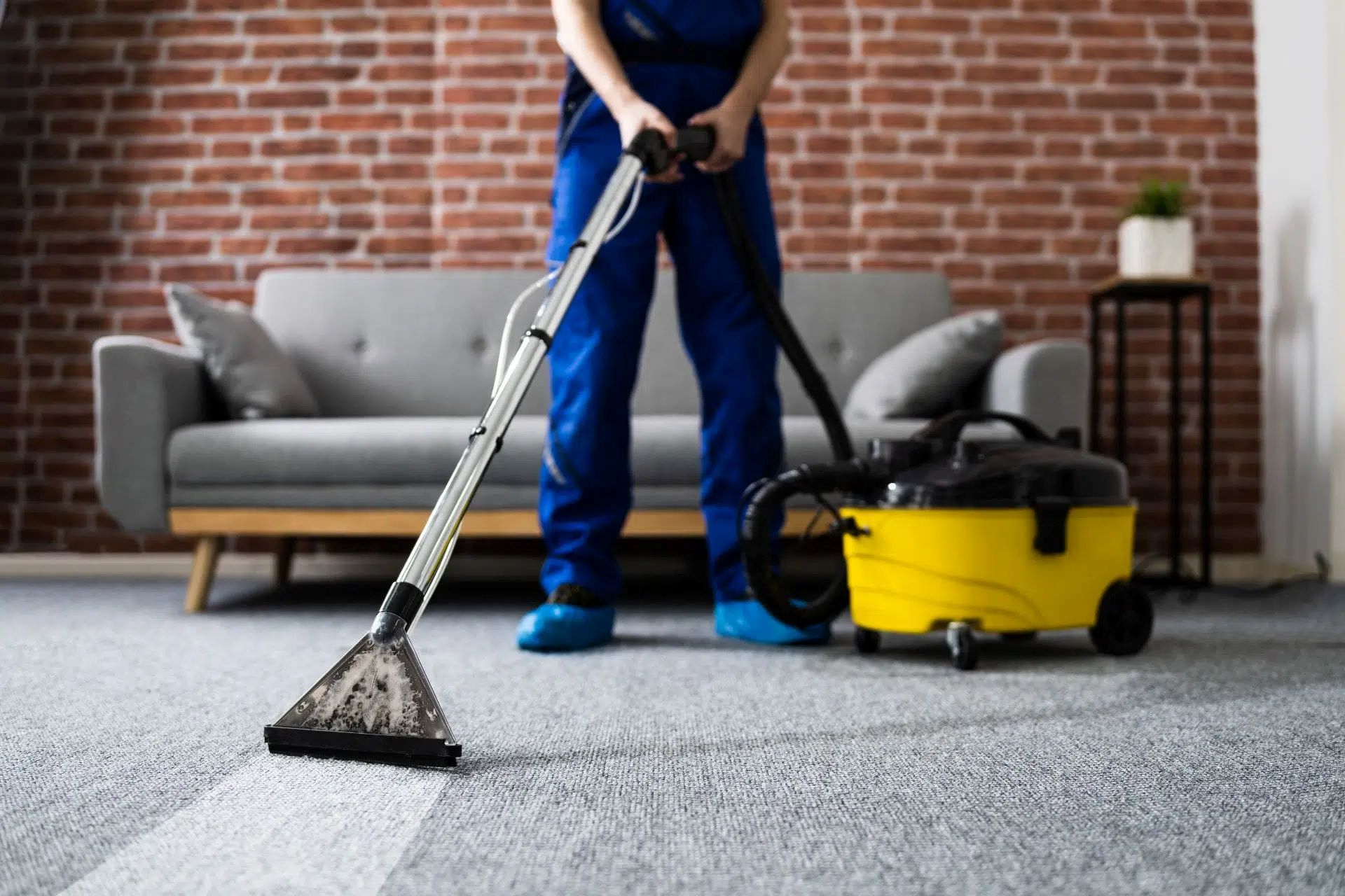 15-carpet-cleaning-facts